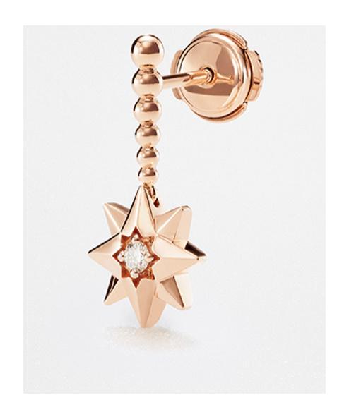 国内発【Dior】Etoile des Vents ピアス 国内発【Dior】Etoile des Vents ピアス (Dior/ピアス