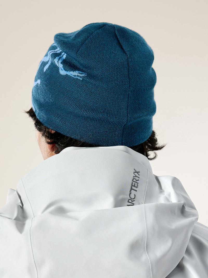 Arc'teryx Bird Head Toque in Blue for Men | Lyst
