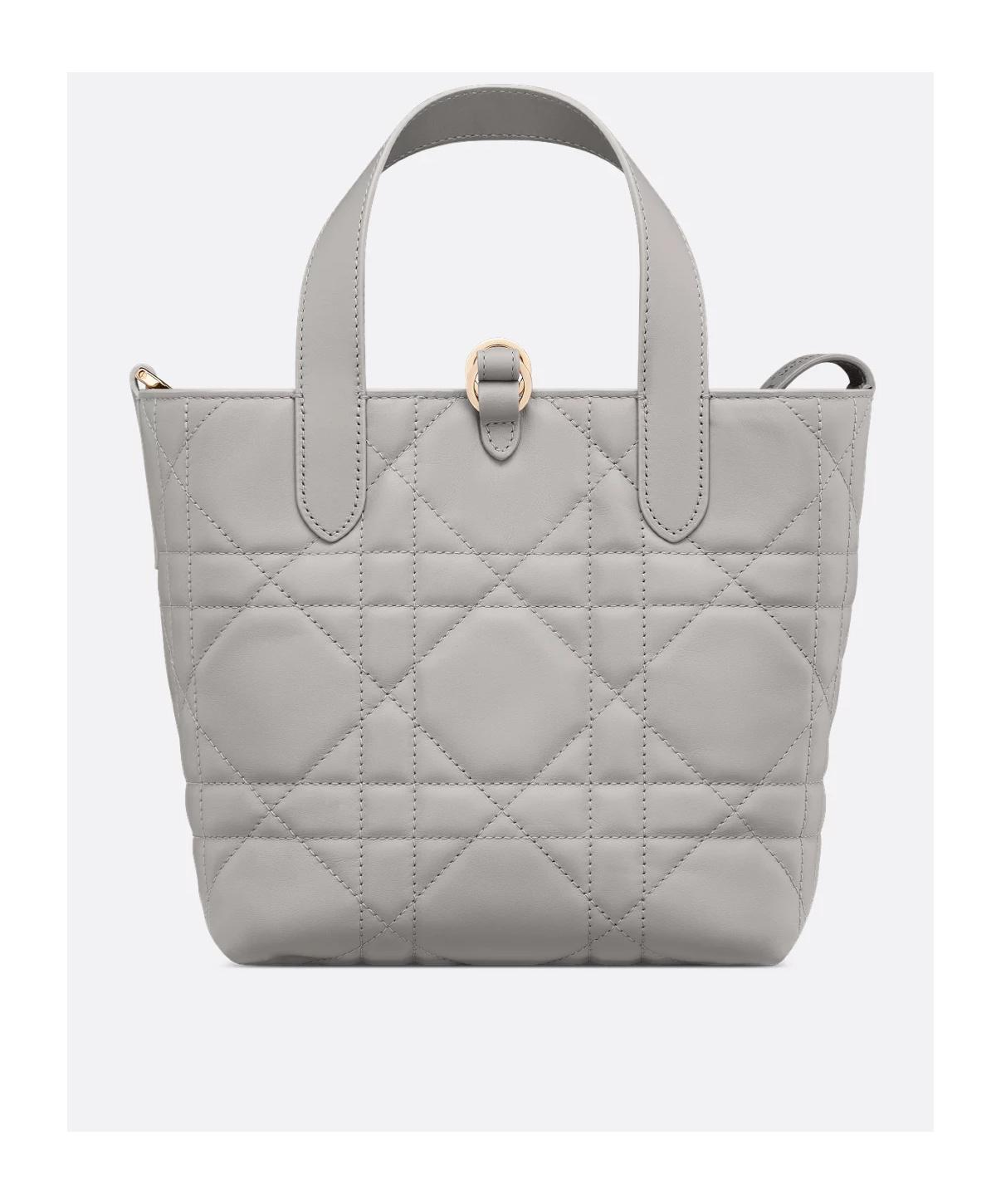Dior Small Toujours Vertical Tote Bag in Gray | Lyst