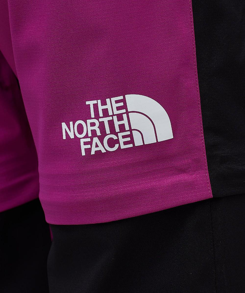 The North Face Seven Summits Light Futurelight Pant in Purple for