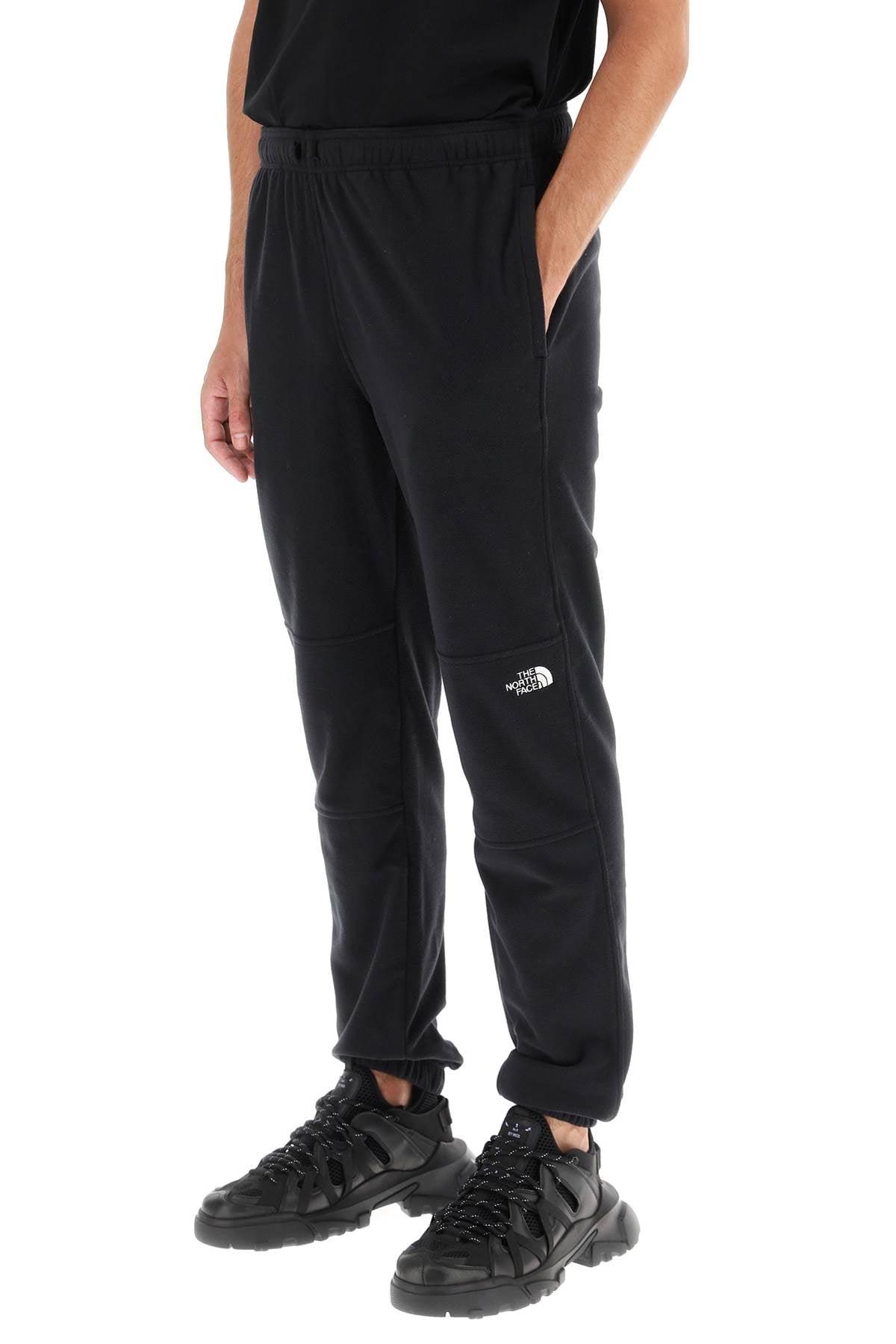 The north cheap face glacier pant