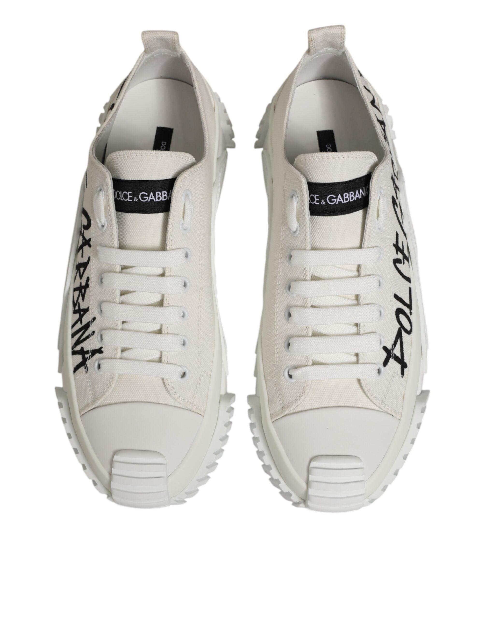 Dolce & Gabbana Low-top sneakers for Men | Online Sale up to