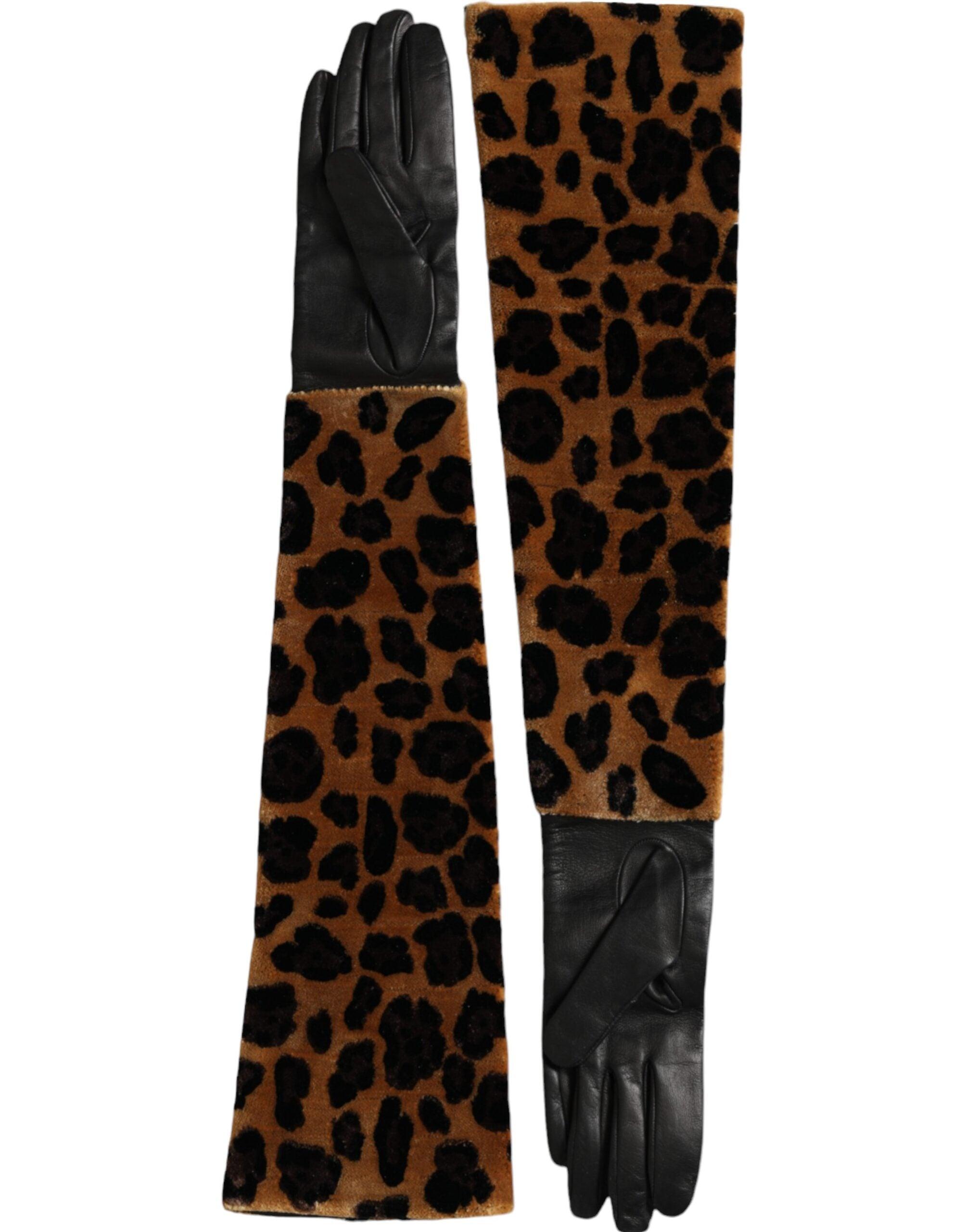 Dolce & Gabbana Gloves for Women | Online Sale up to 75% off