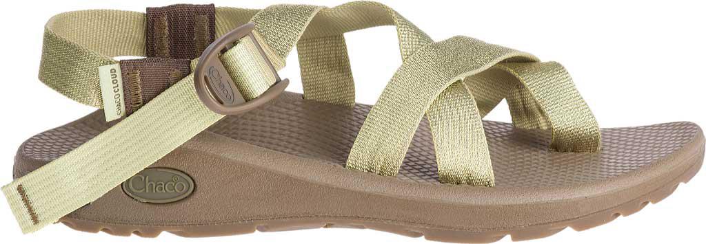 Chaco Synthetic Z/cloud 2 Sandal in 