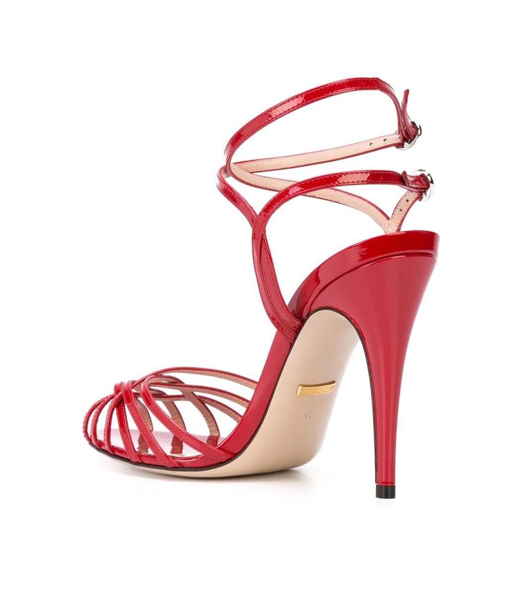 gucci draconia