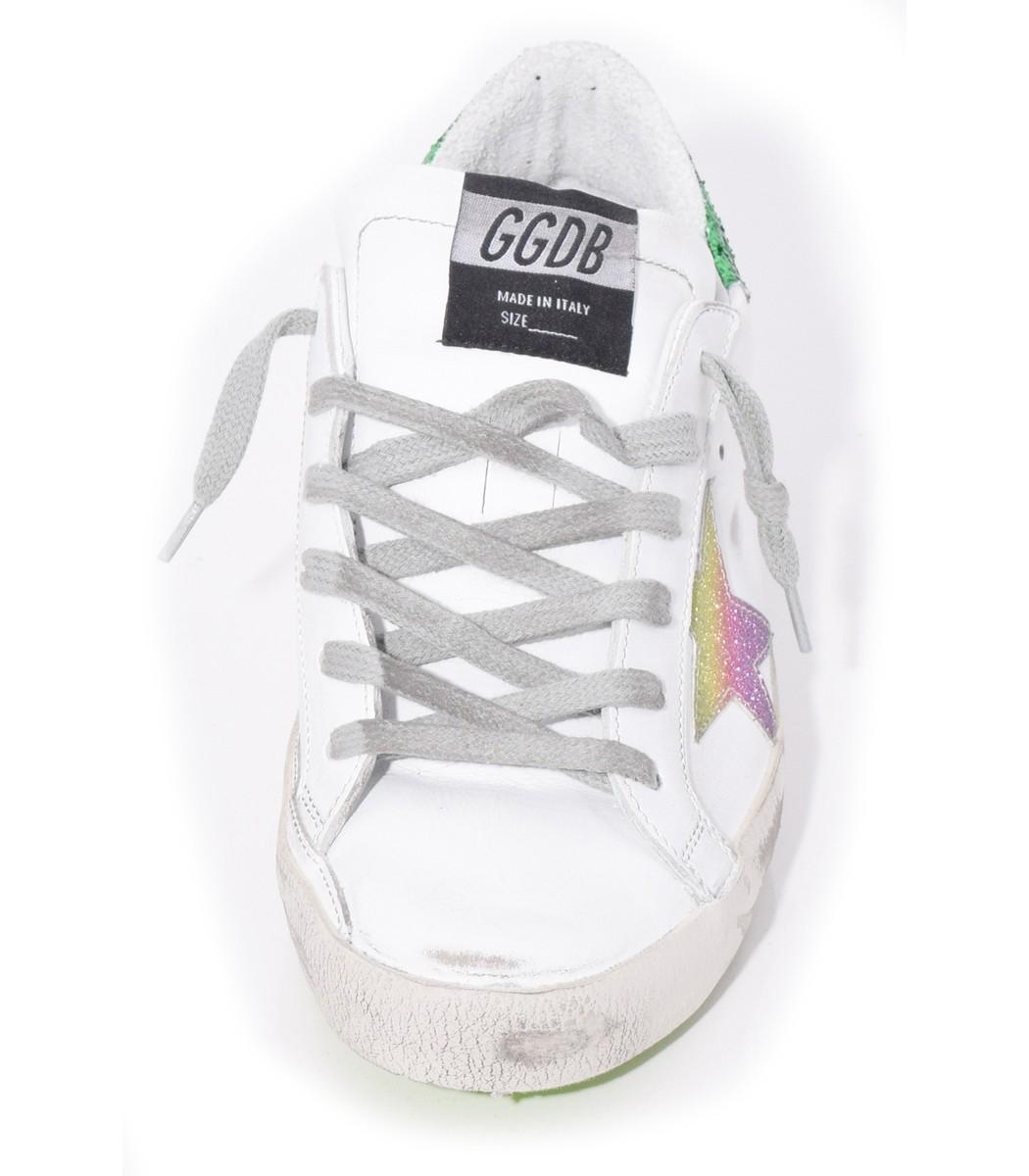 rainbow golden goose
