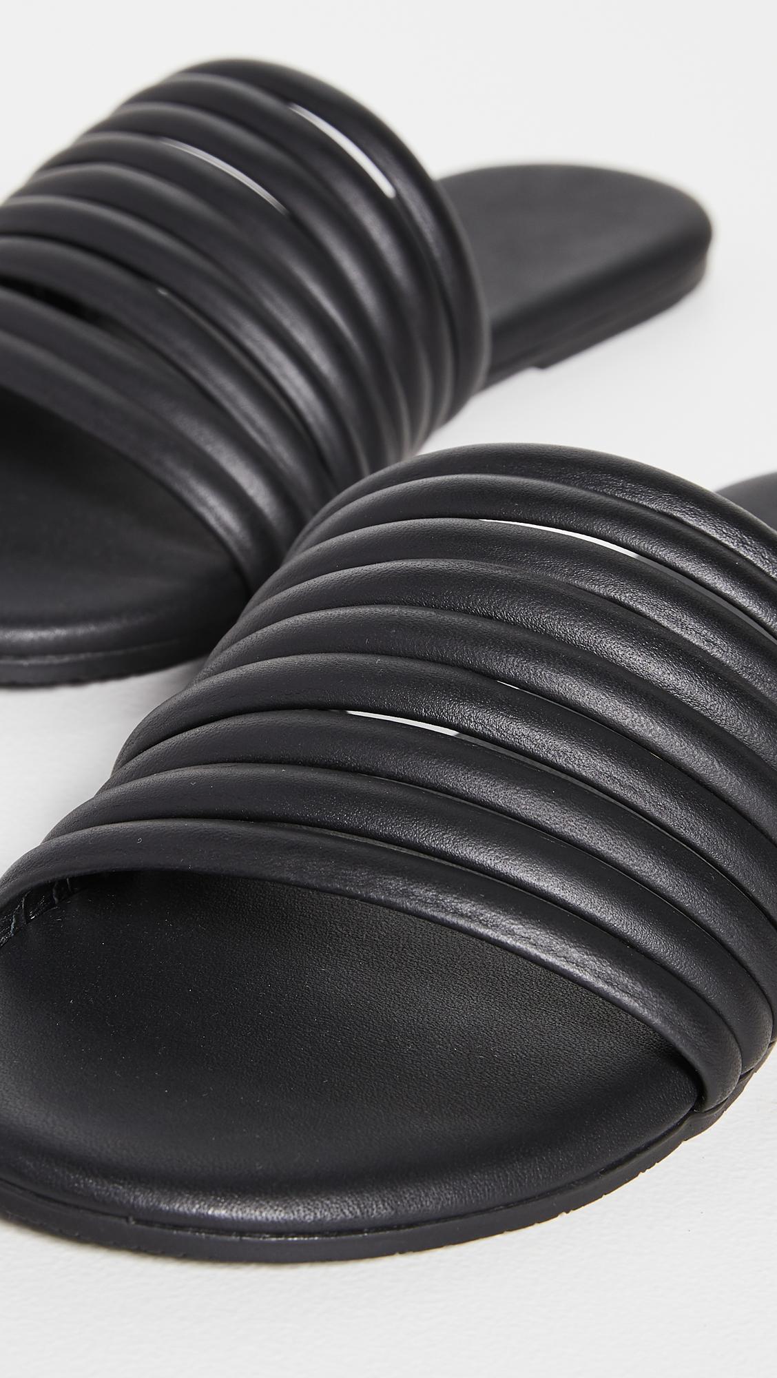 tkees caro black