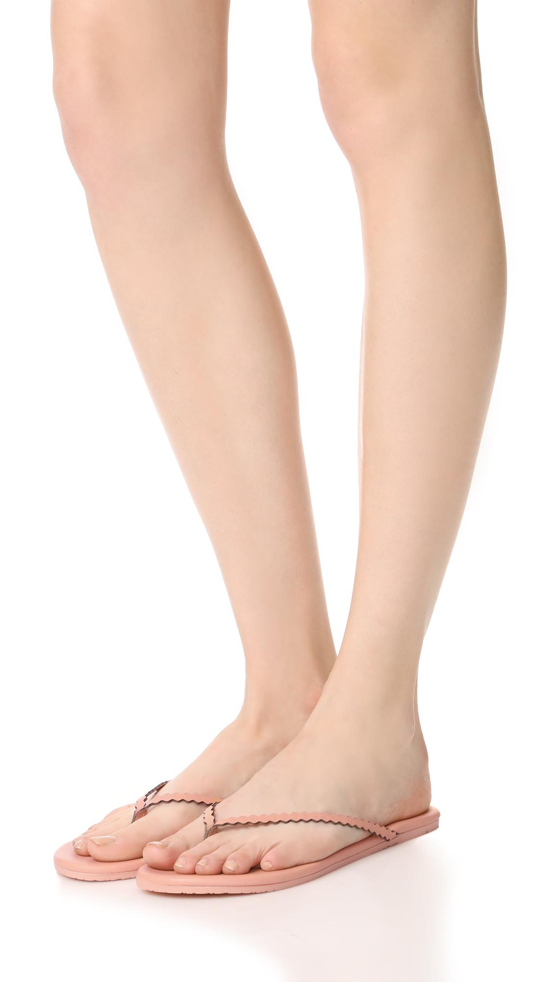 tkees scalloped flip flops