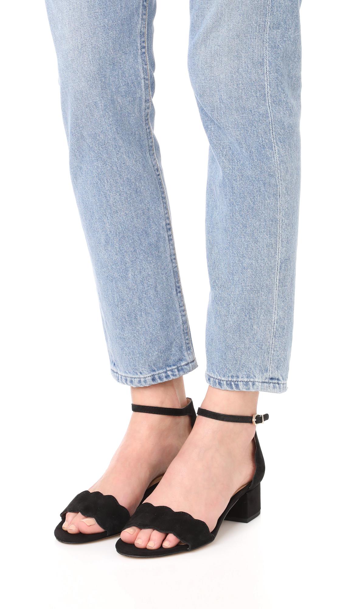 sam edelman inara