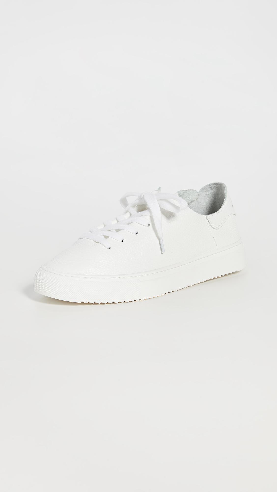 poppy lace up sneaker sam edelman