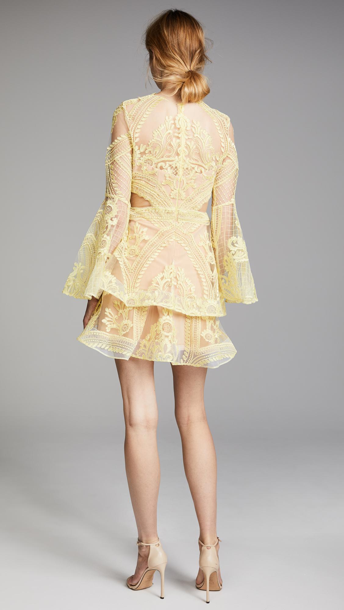 thurley chameleon mini dress