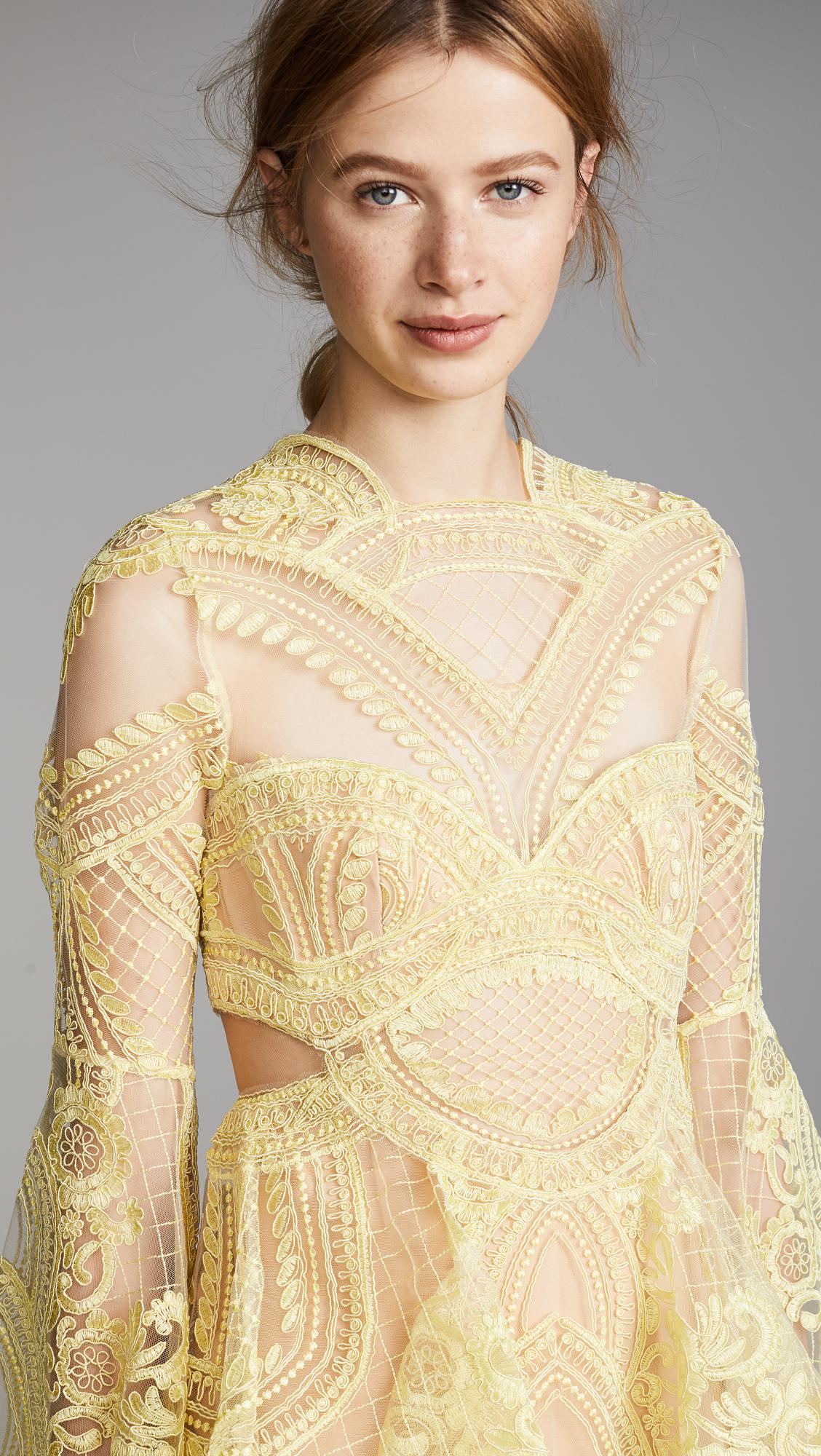 thurley chameleon mini dress
