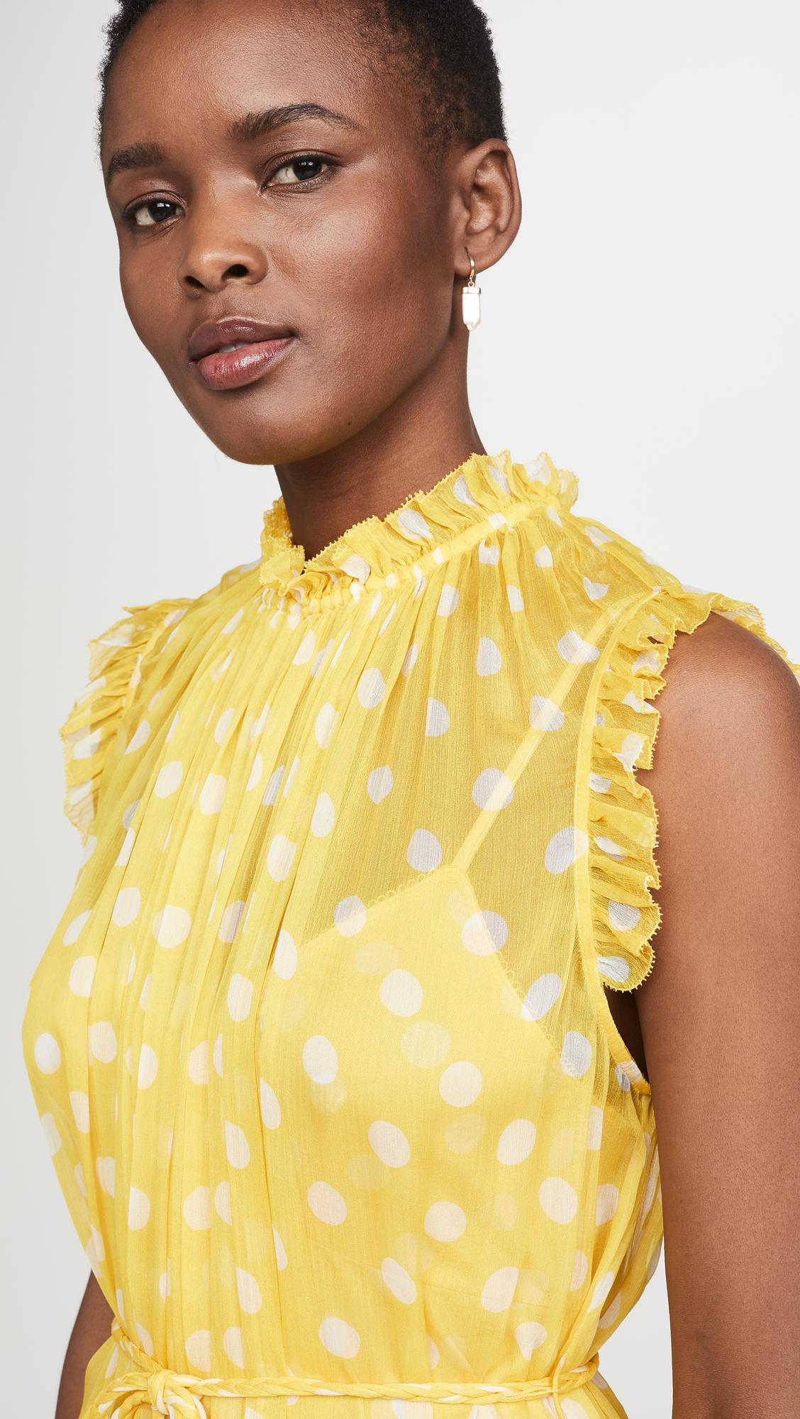zimmermann helm dot frill dress