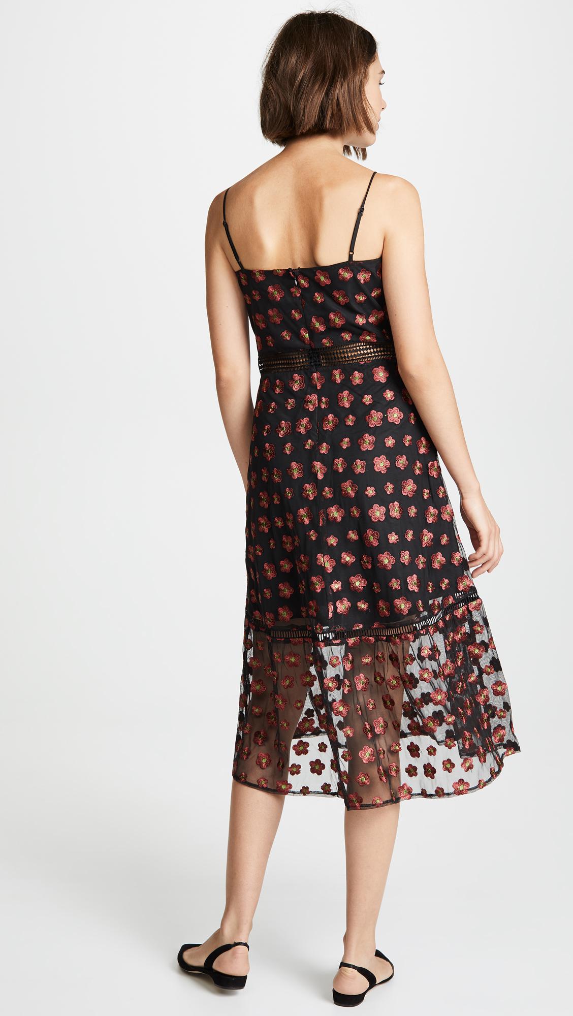 jack by bb dakota magic hour dress