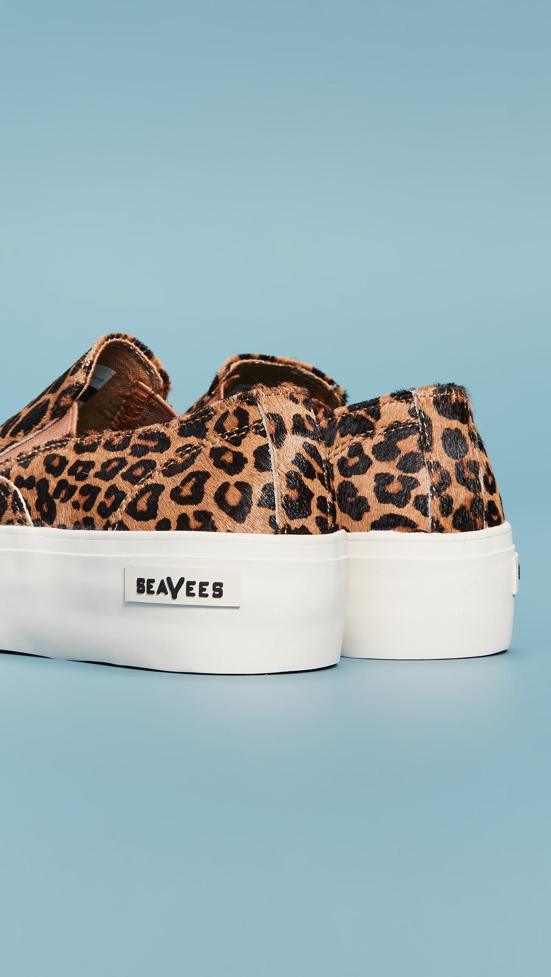 seavees baja platform mulholland