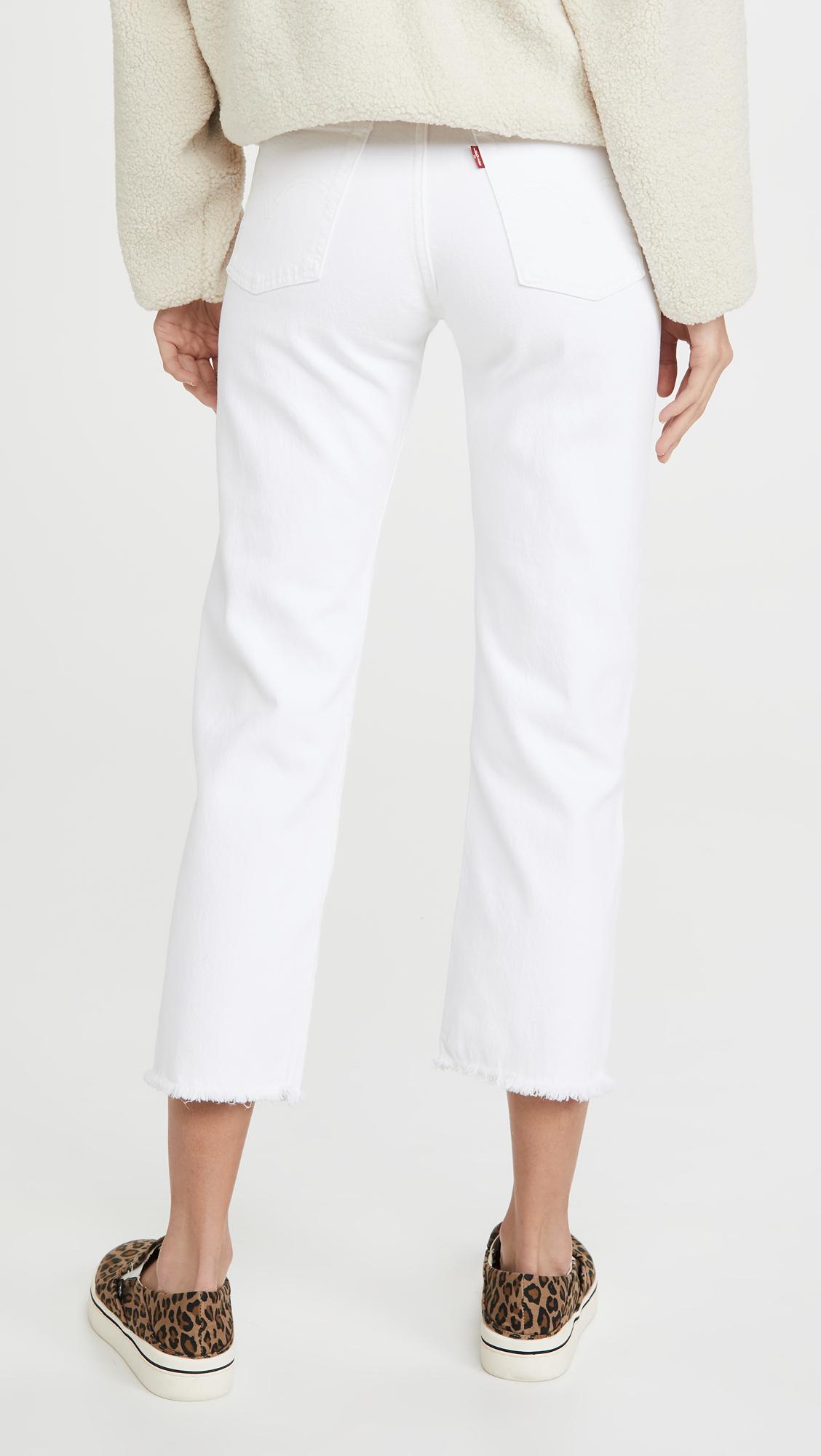 macy's inc plus size pants