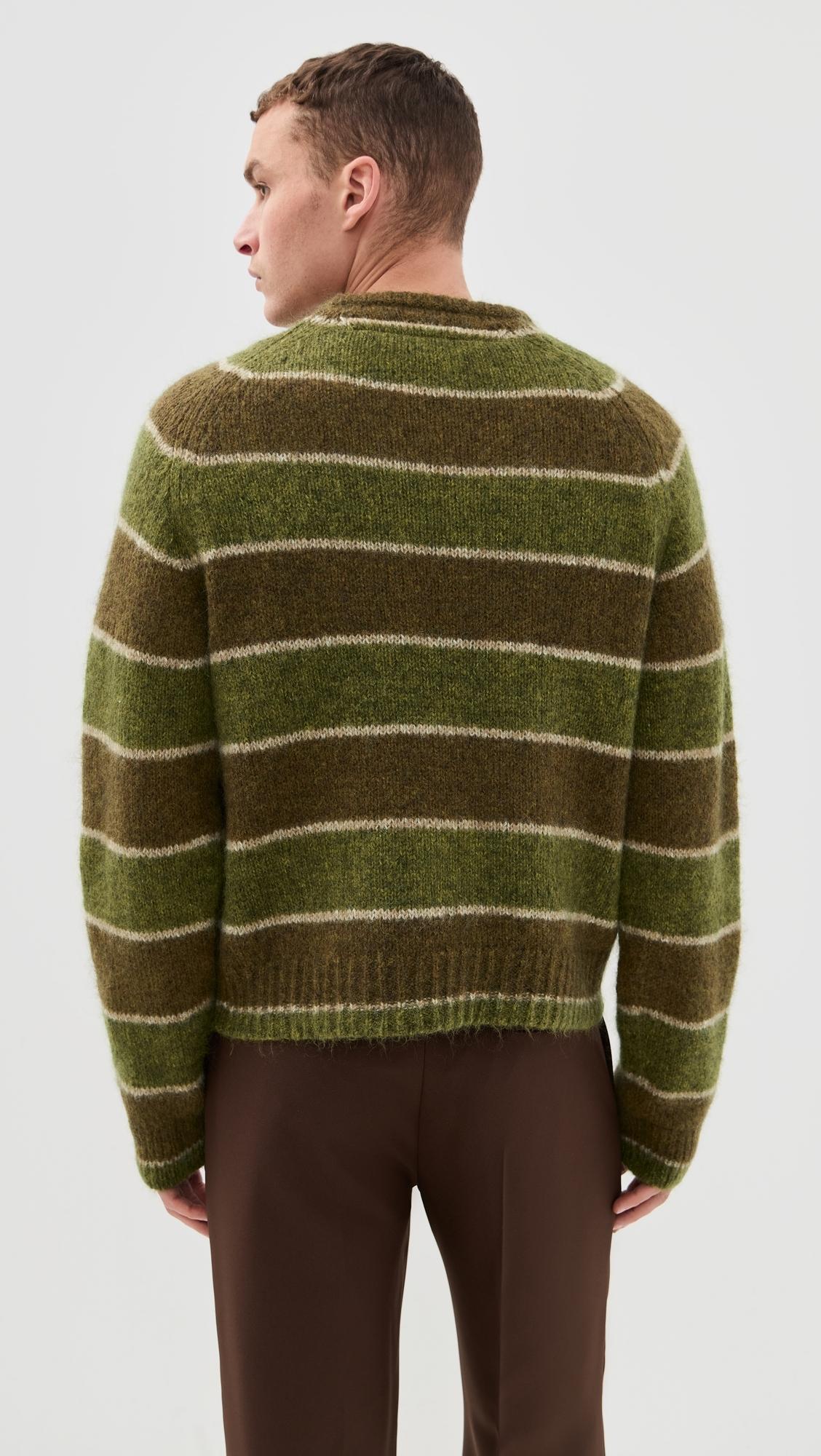 Stockholm Surfboard Club Raglan Knit Striped Sweater in Green for