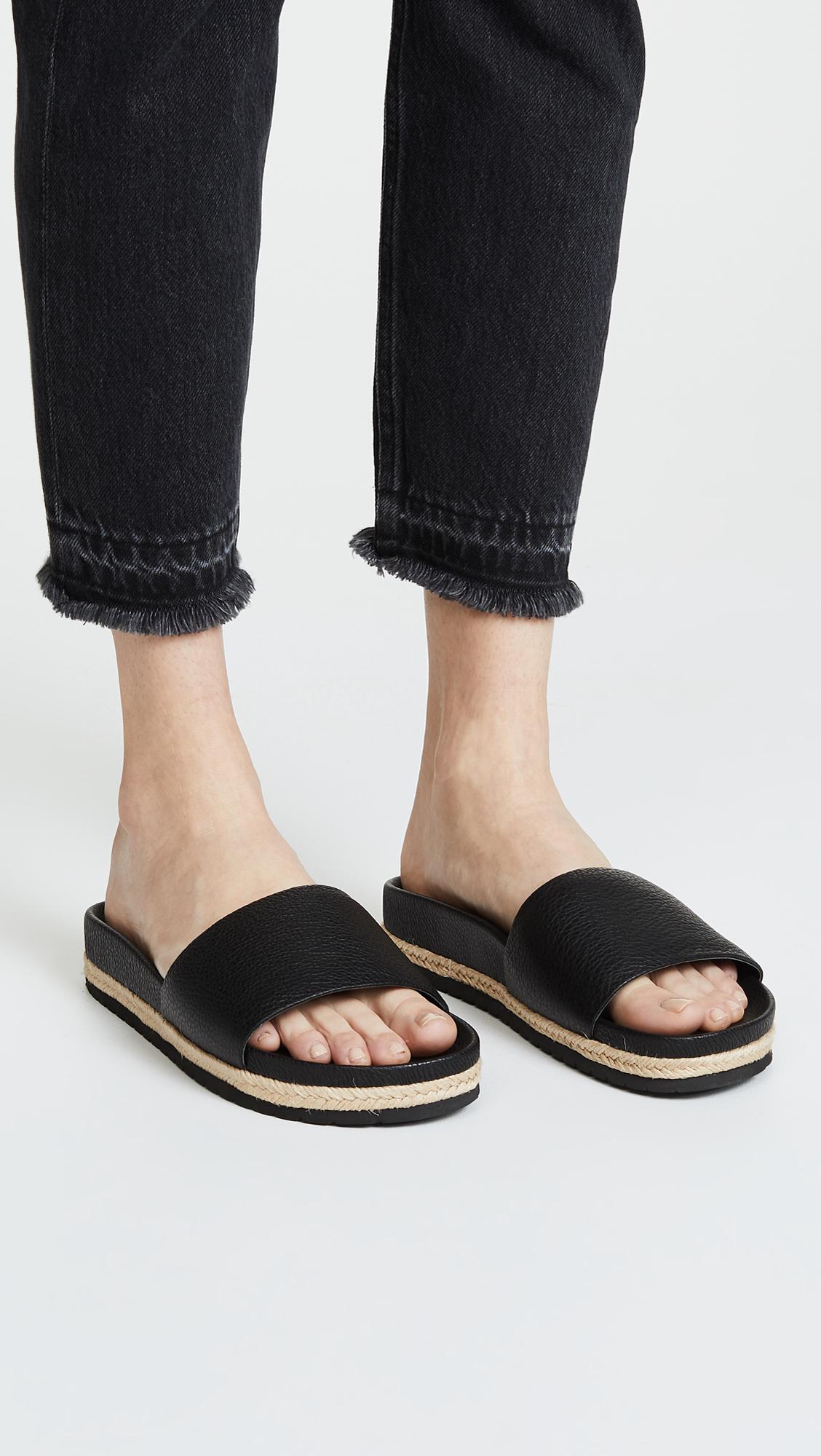 vince aurelia slides