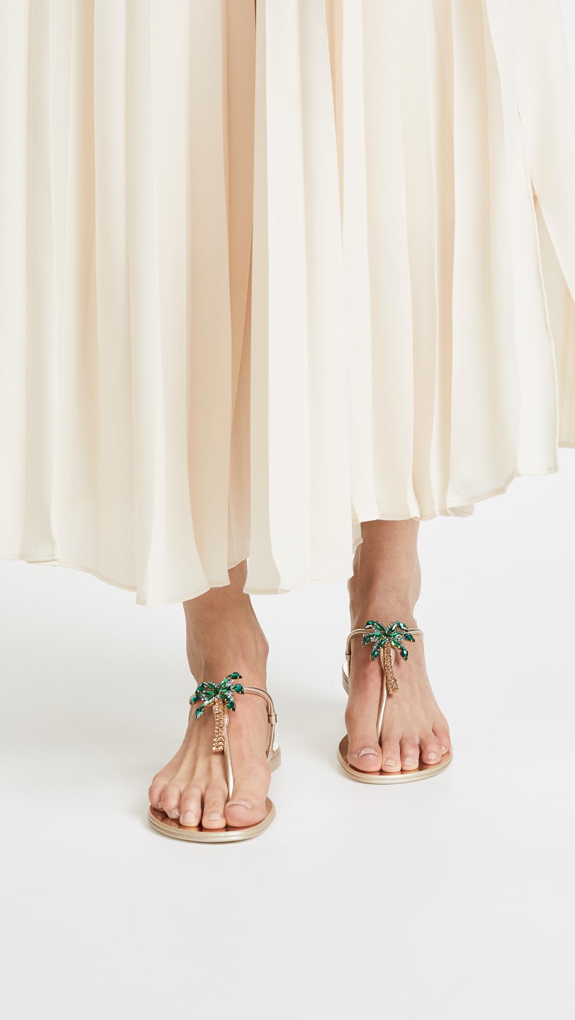 Zanotti hot sale palm slippers