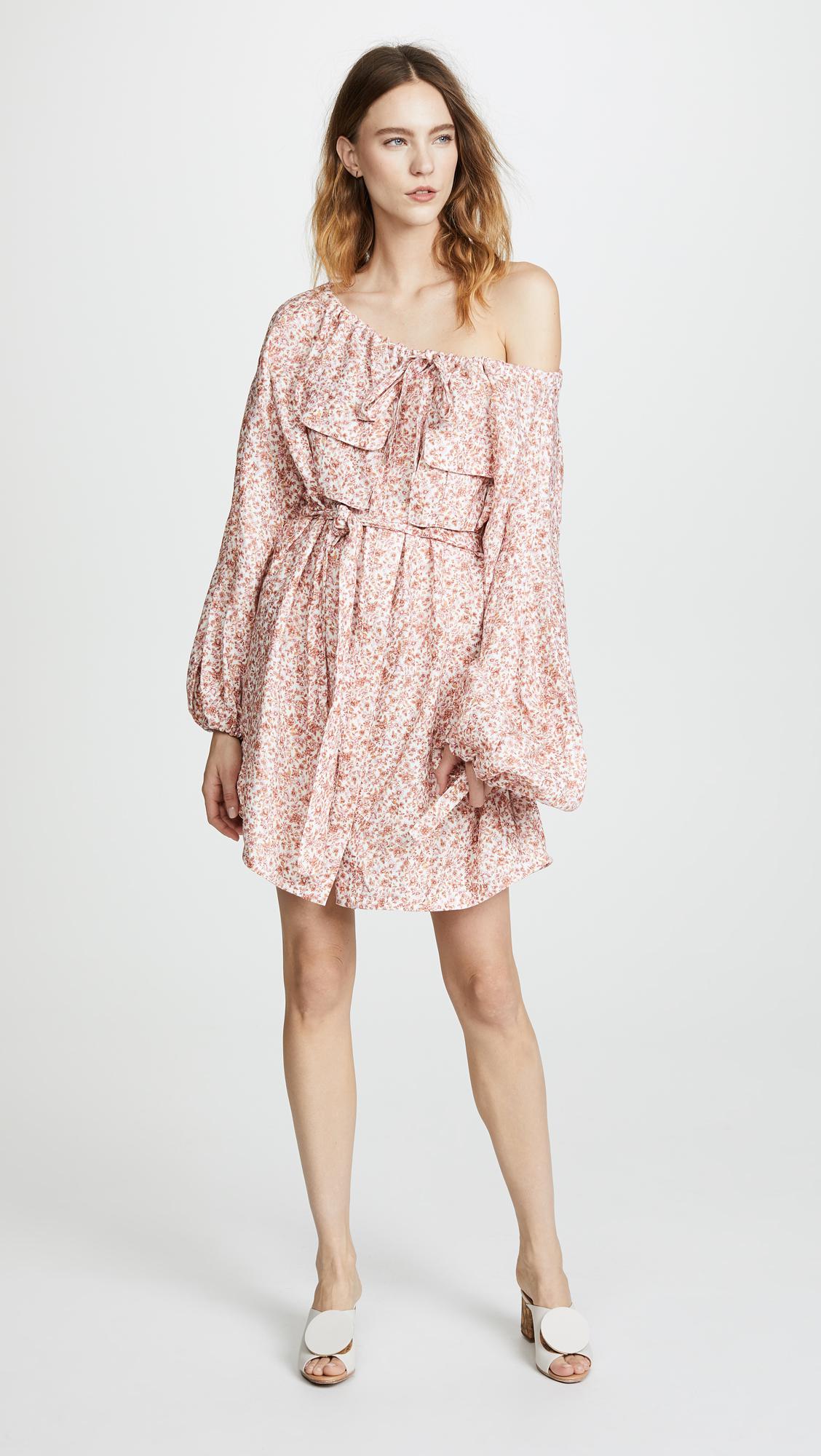 zimmermann skater dress