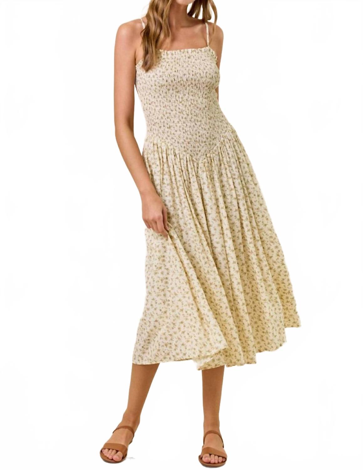 doe and rae maxi dress Doe and Rae Santa Fe Maxi Dress In Brown Stripes