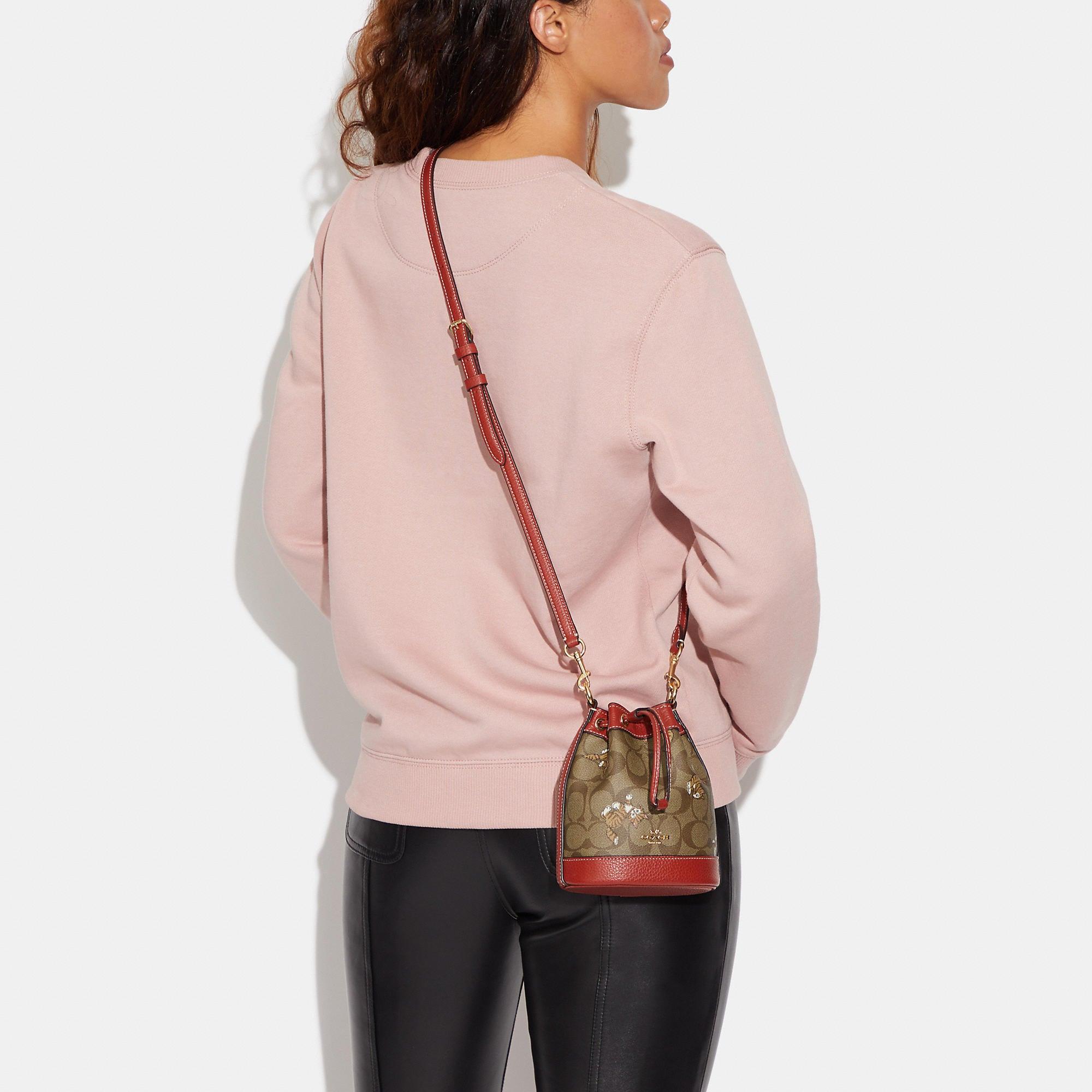 Coach Outlet Mini Dempsey Bucket Bag In Signature Canvas With Dancing Kitten Print in Brown | Lyst Coach Outlet Mini Dempsey Bucket Bag In Signature Canvas With Dancing Kitten Print in Brown | Lyst