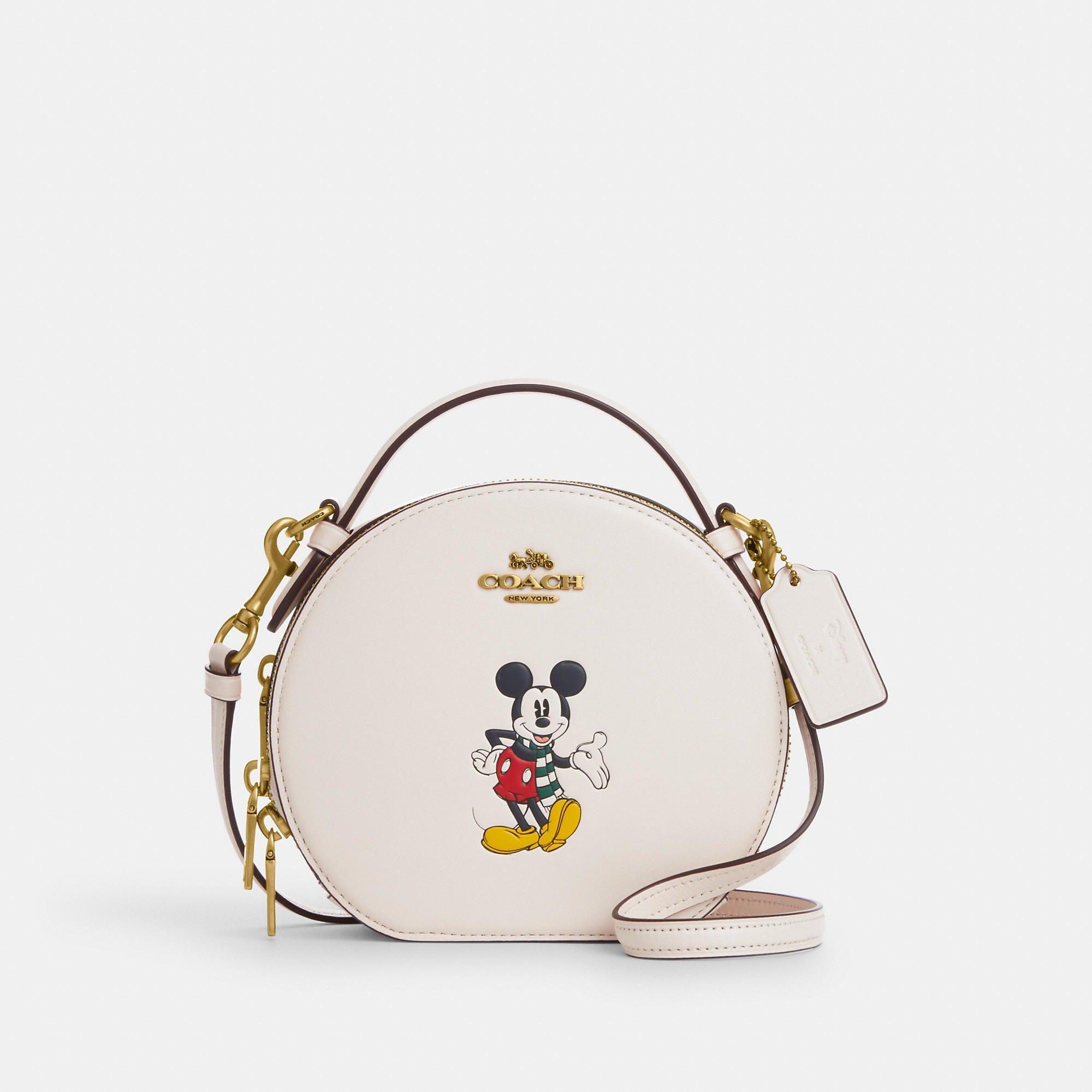 Disney crossbody deals bag coach