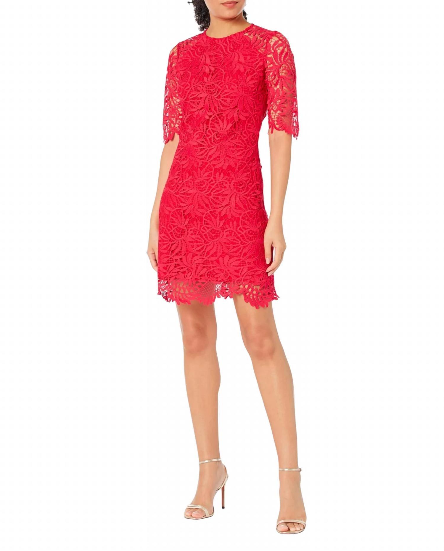 Sheath Shoshanna Sora Dress Midnight Sora White Lace Mini Dress