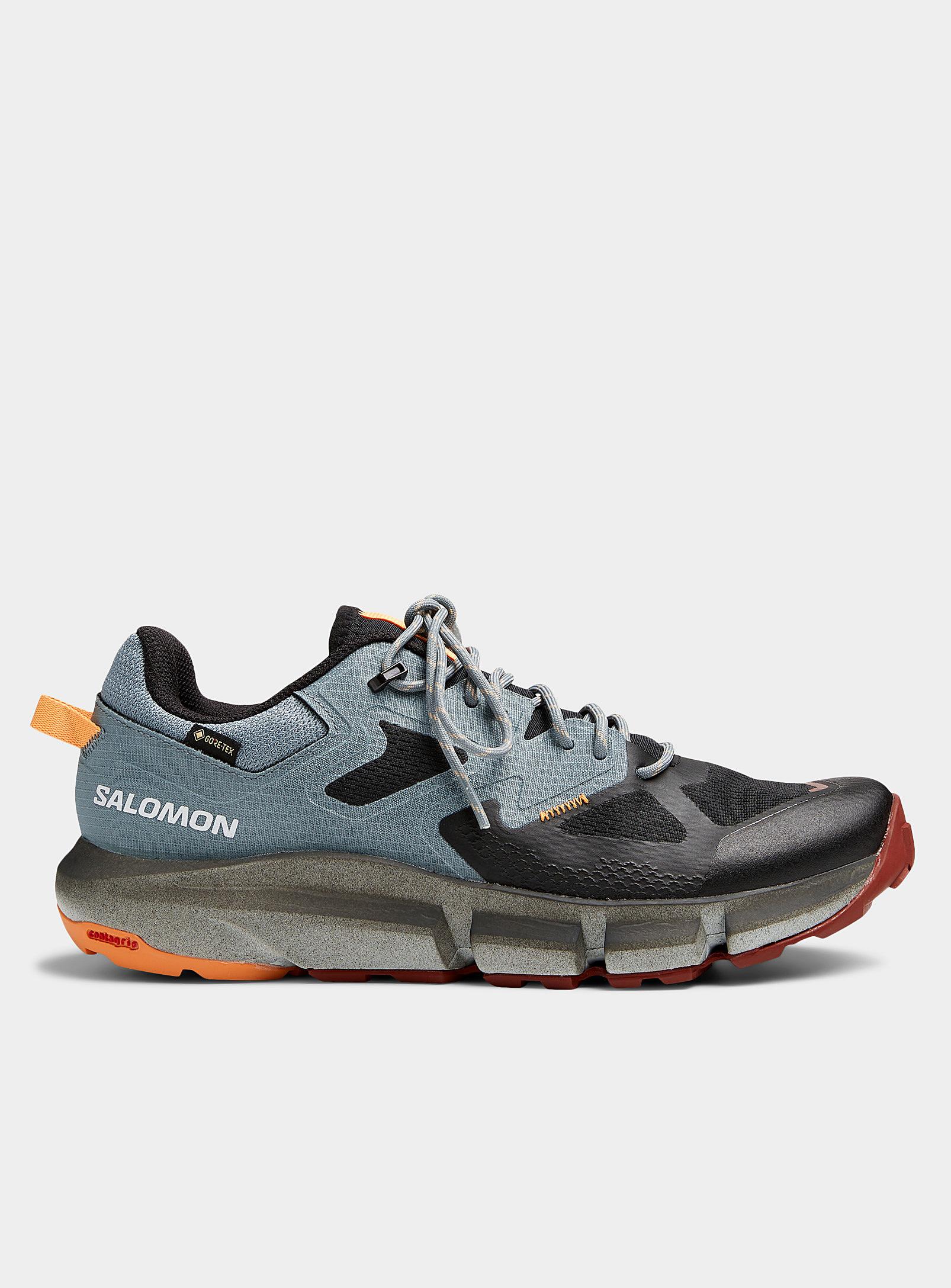 predict hike gtx