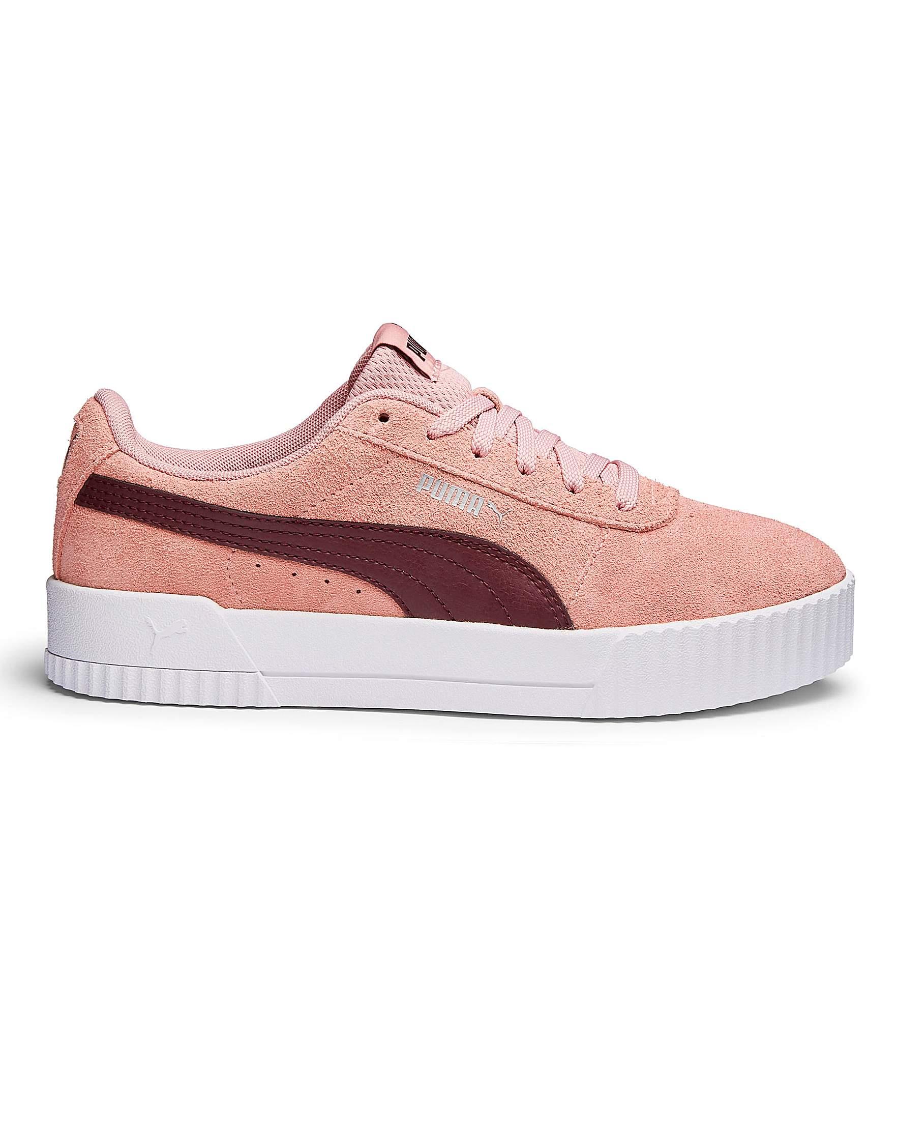 carina trainers