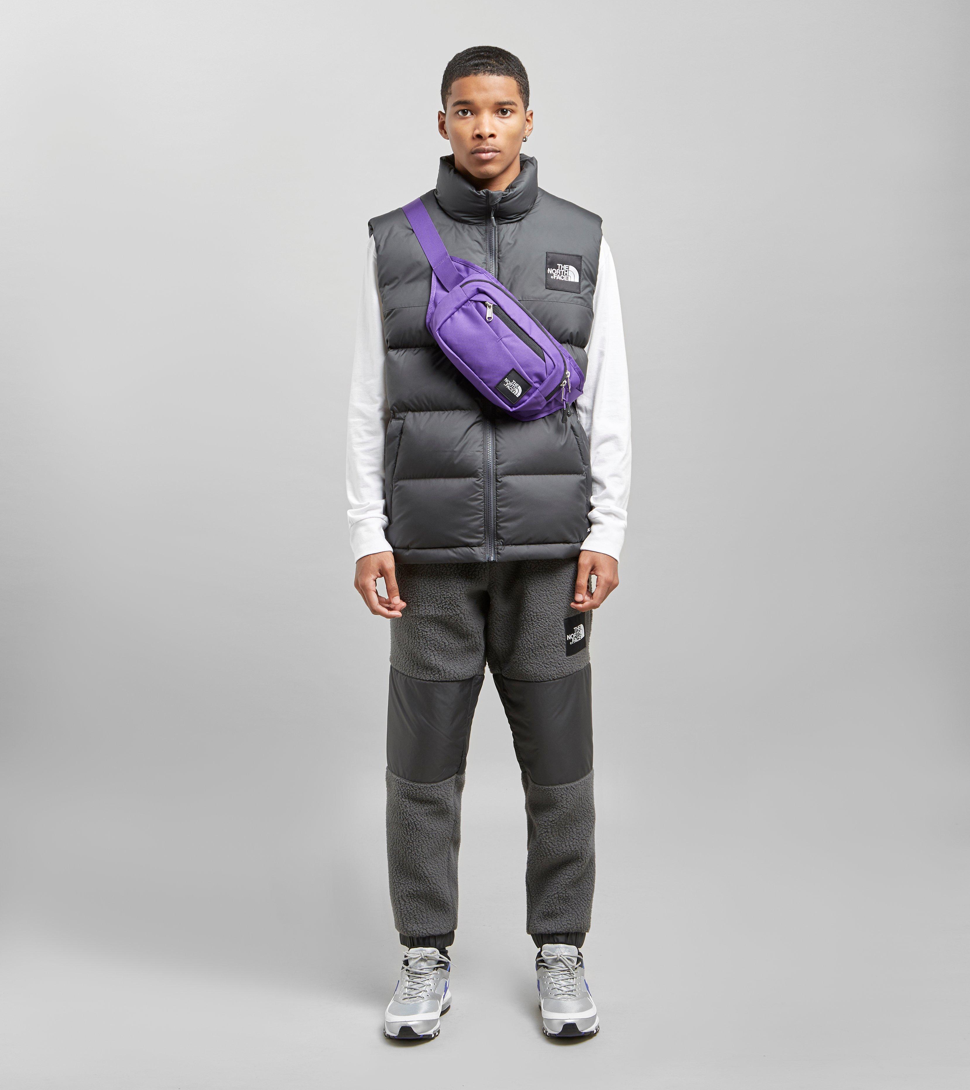 denali pants north face