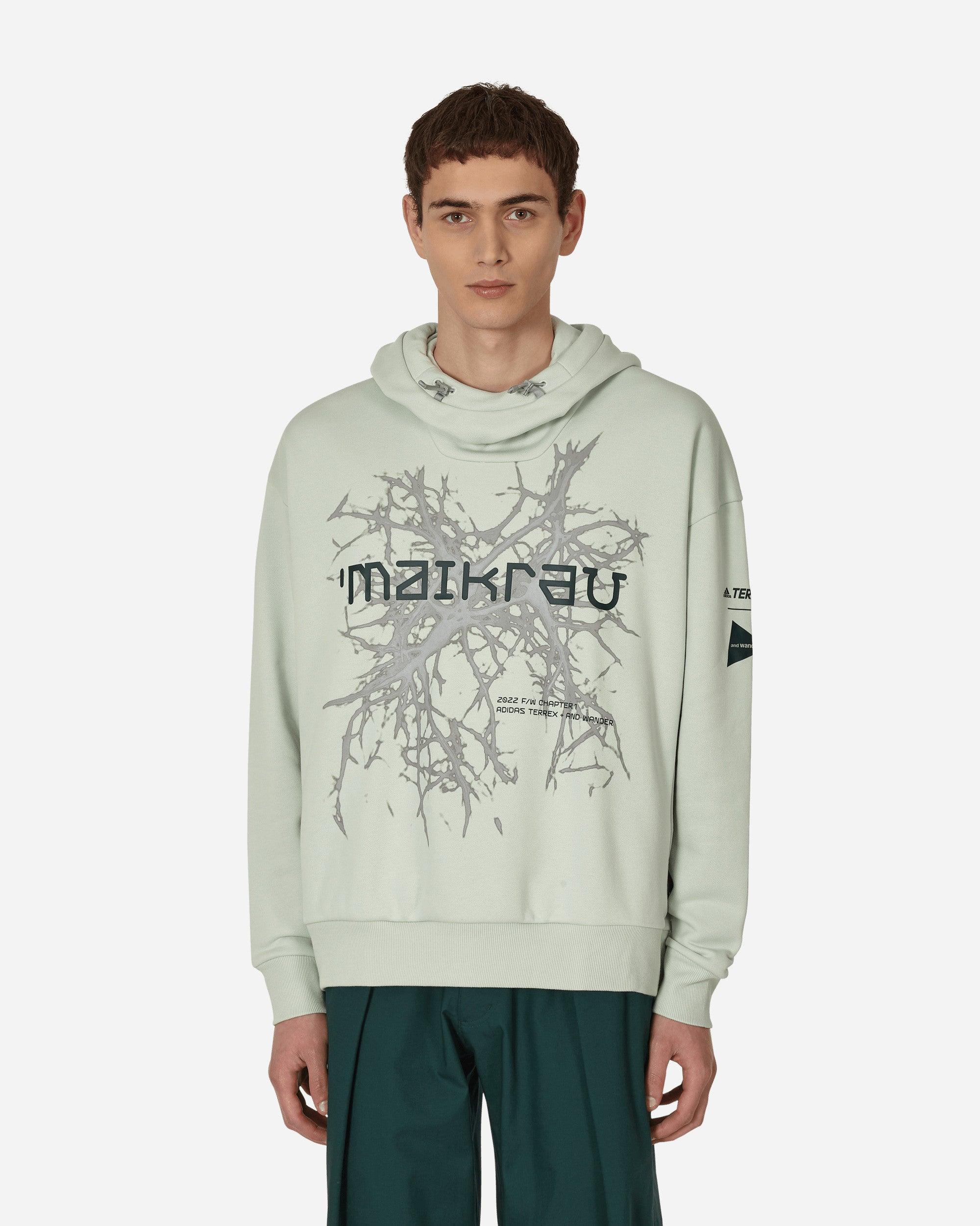 adidas Terrex X And Wander Graphic Hooded Sweatshirt in Green for Men | Lyst