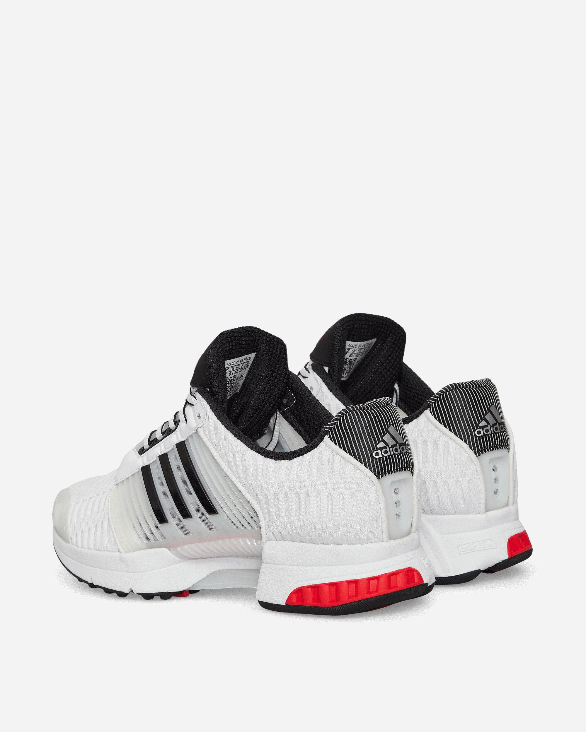 Basket climacool adidas sale