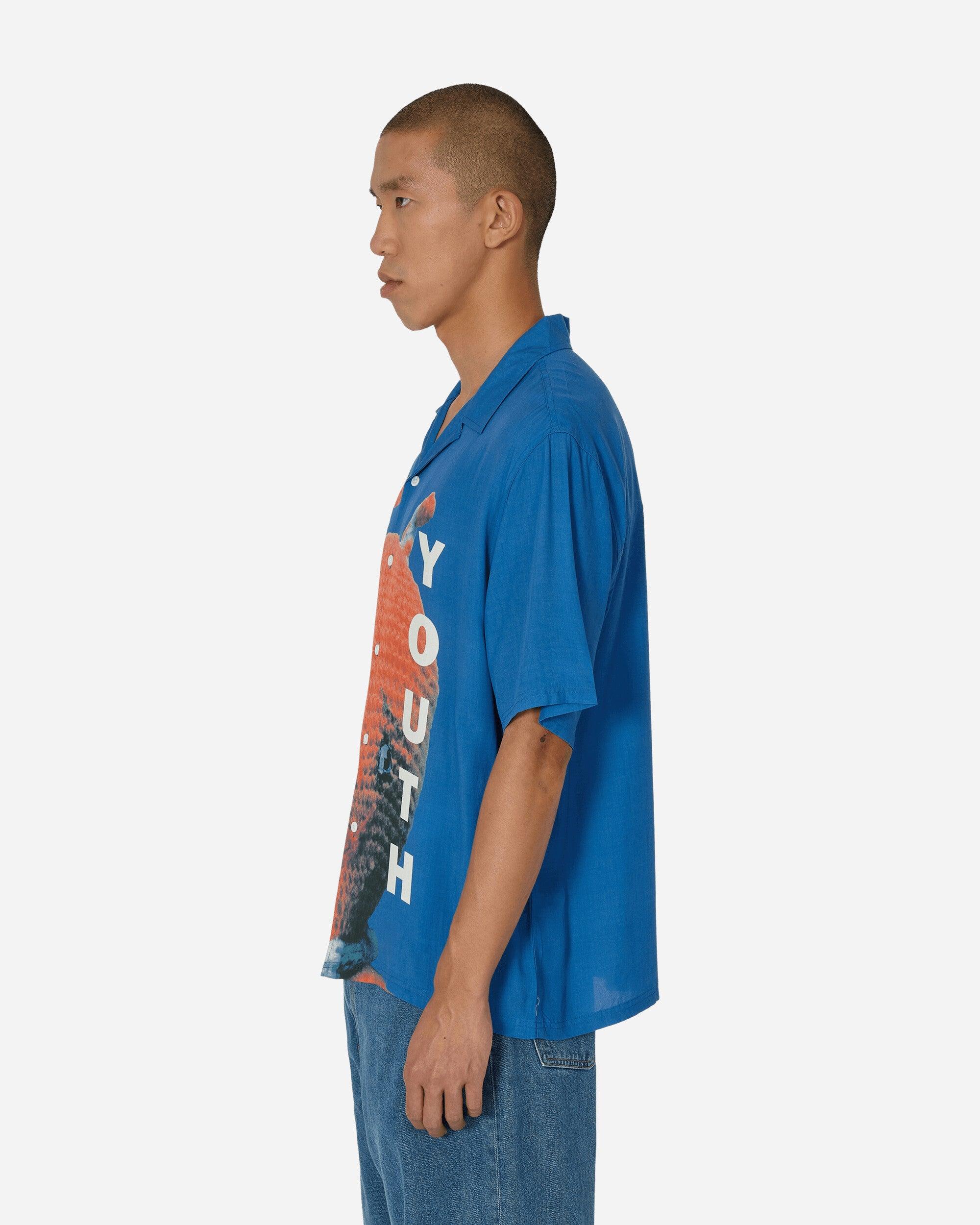 pleasures-designer-Blue-Sonic-