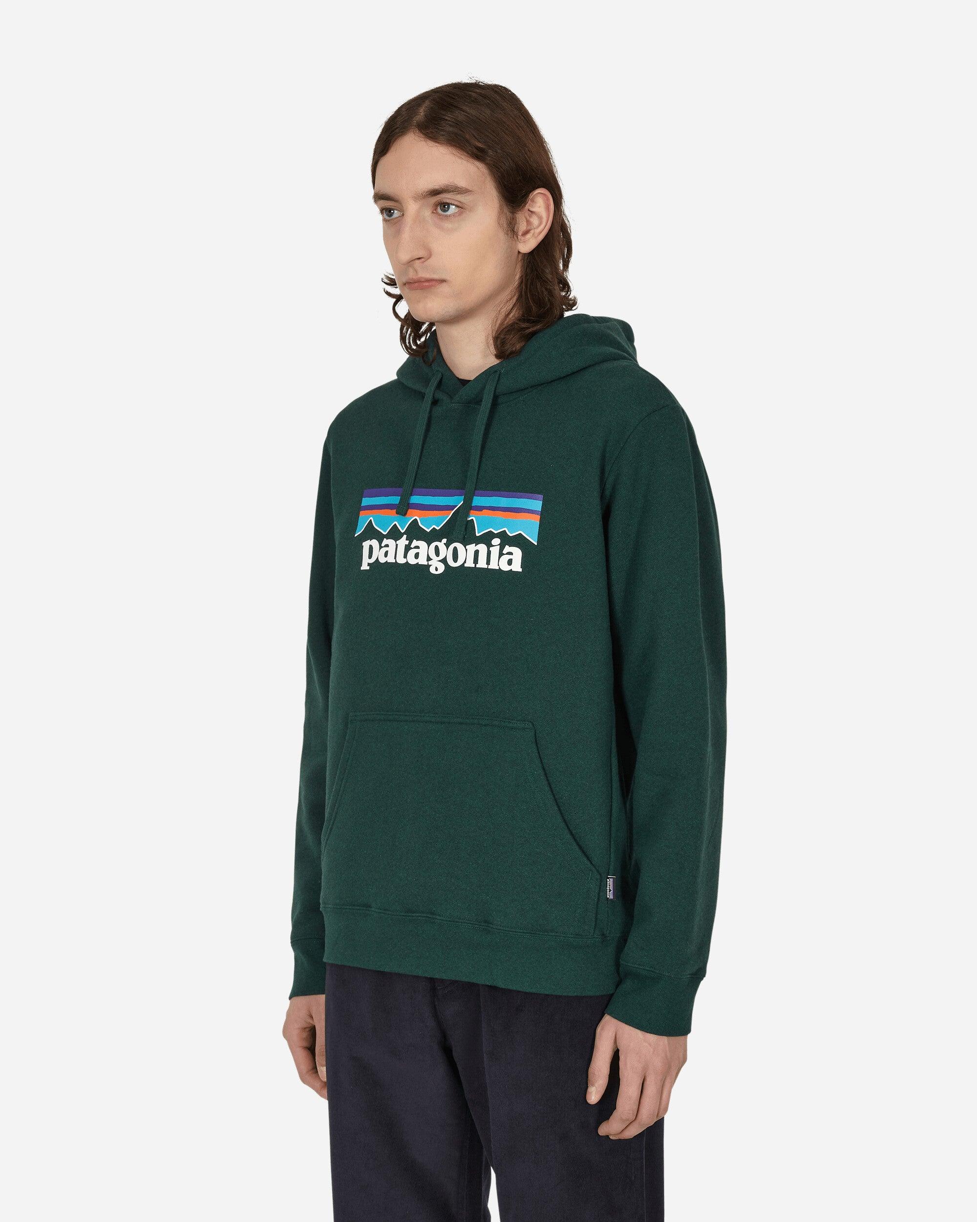 Patagonia cheap green sweatshirt