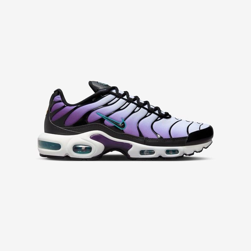 blue and purple air max plus