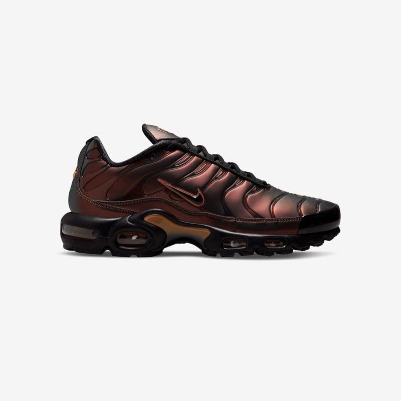 lebron james ambassador 12