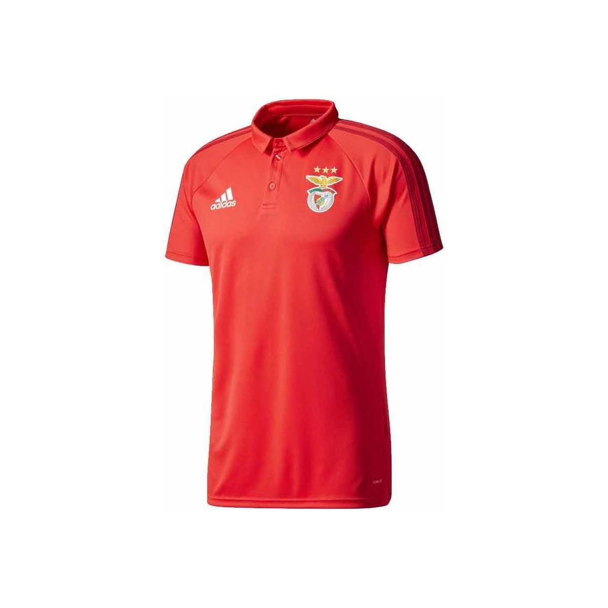 Benfica Polo Shirt Deals, 60% OFF | www.colegiogamarra.com