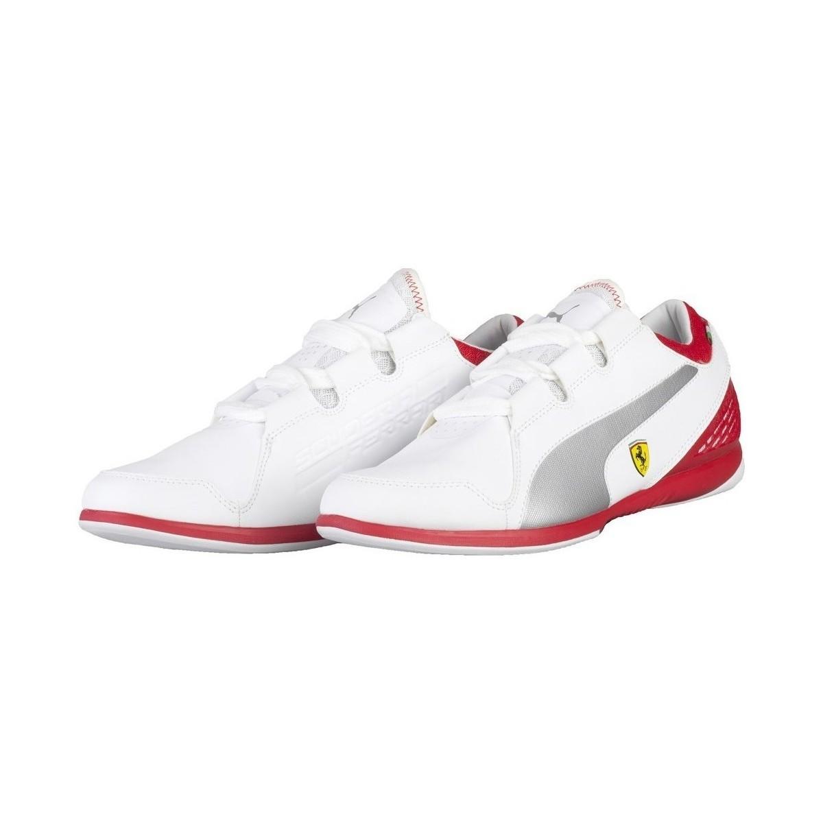 puma valorosso