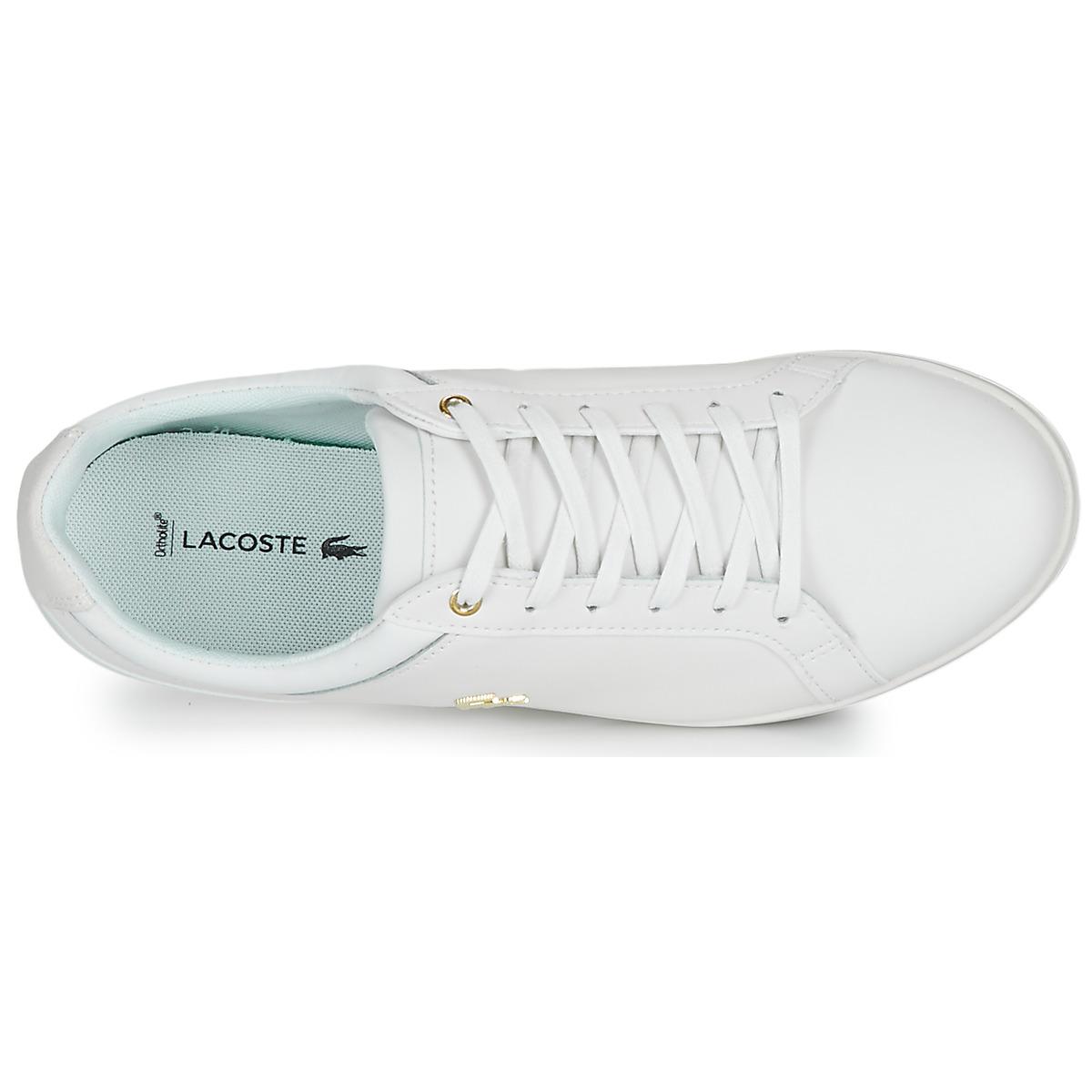 rey lace lacoste