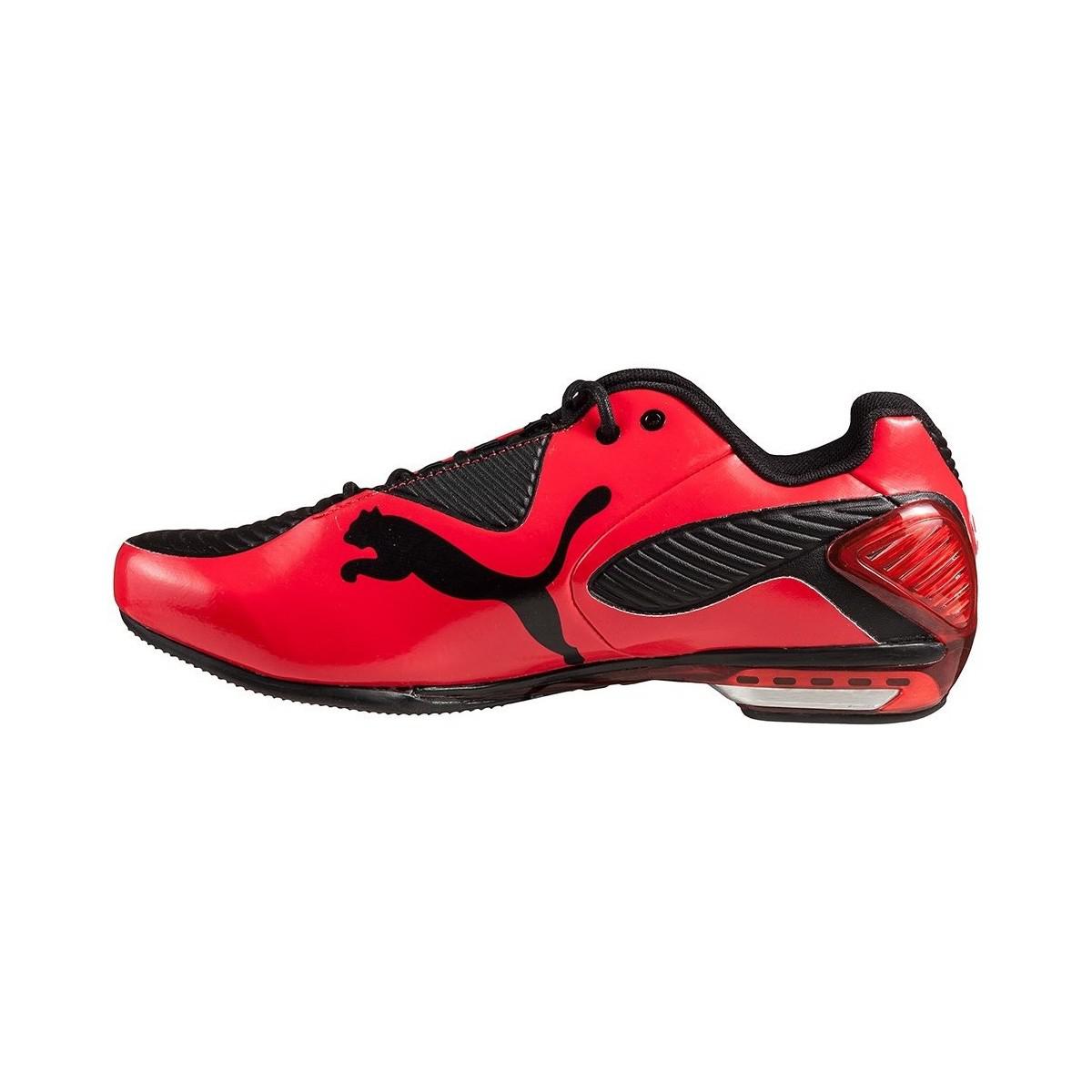 puma ducati trainer