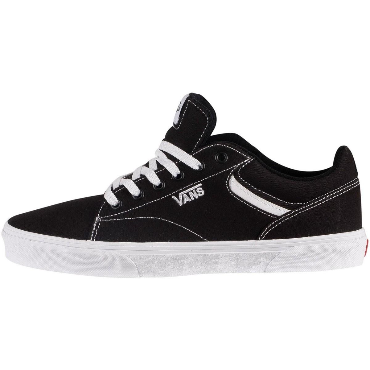 vans basket homme