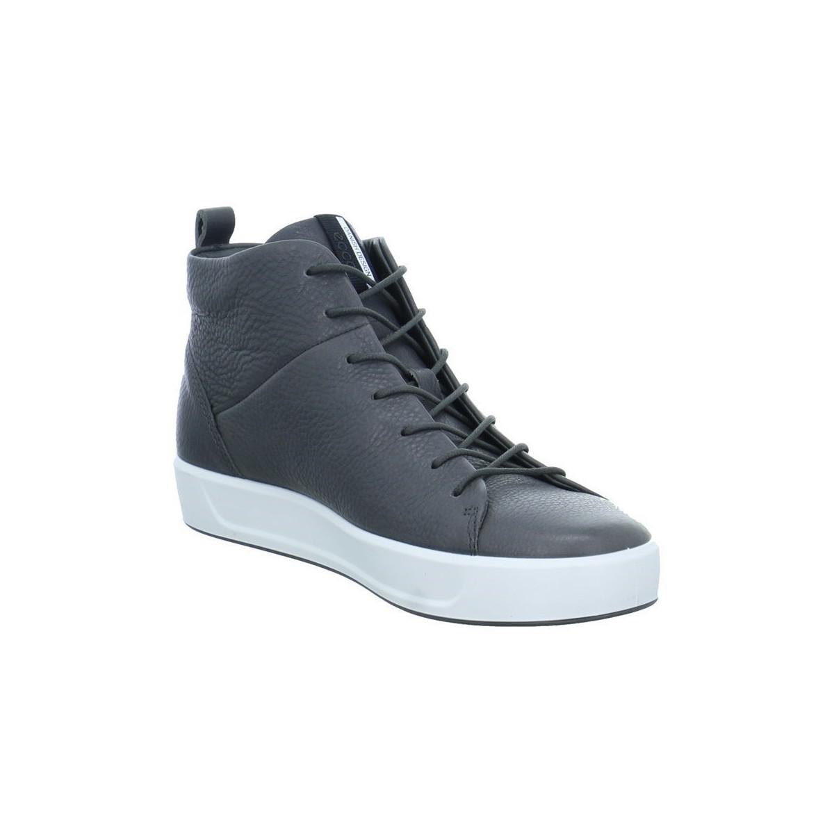 dr martens fred perry