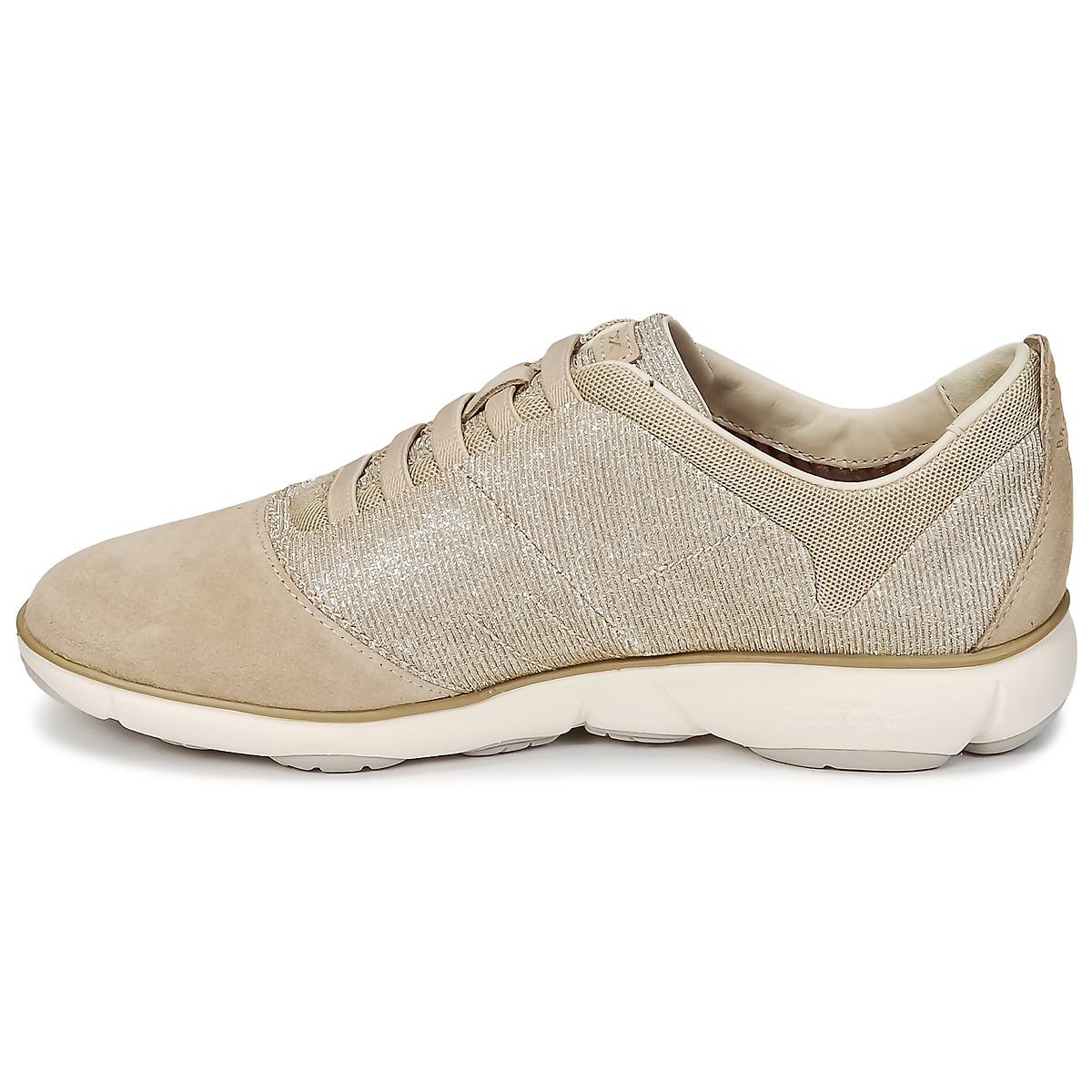d and g womens trainers