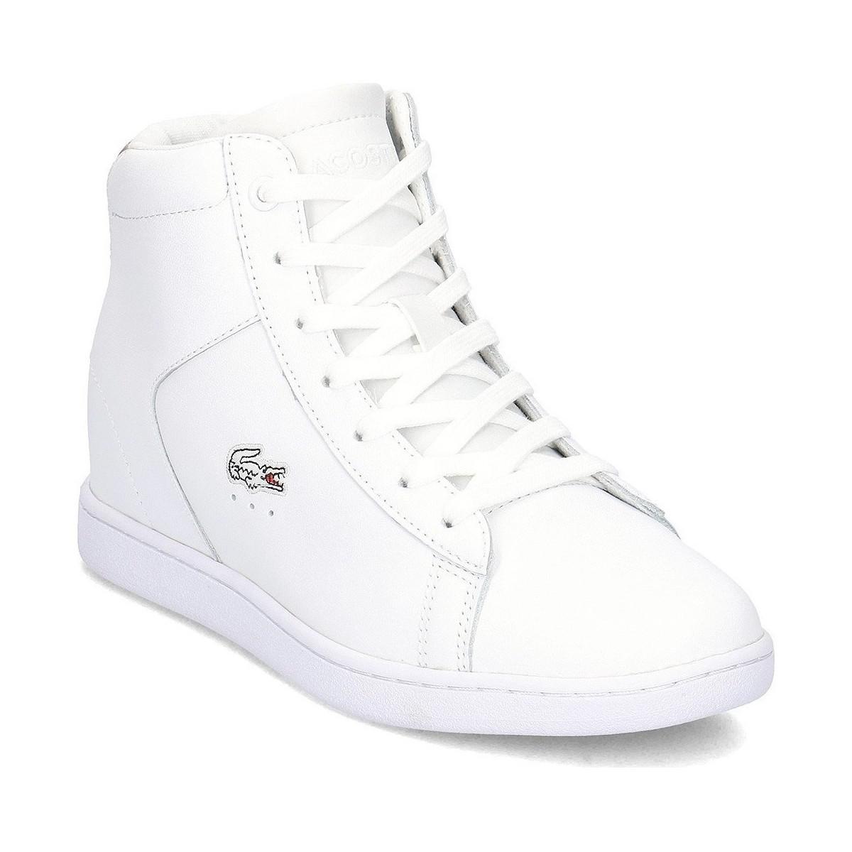 lacoste high top trainers