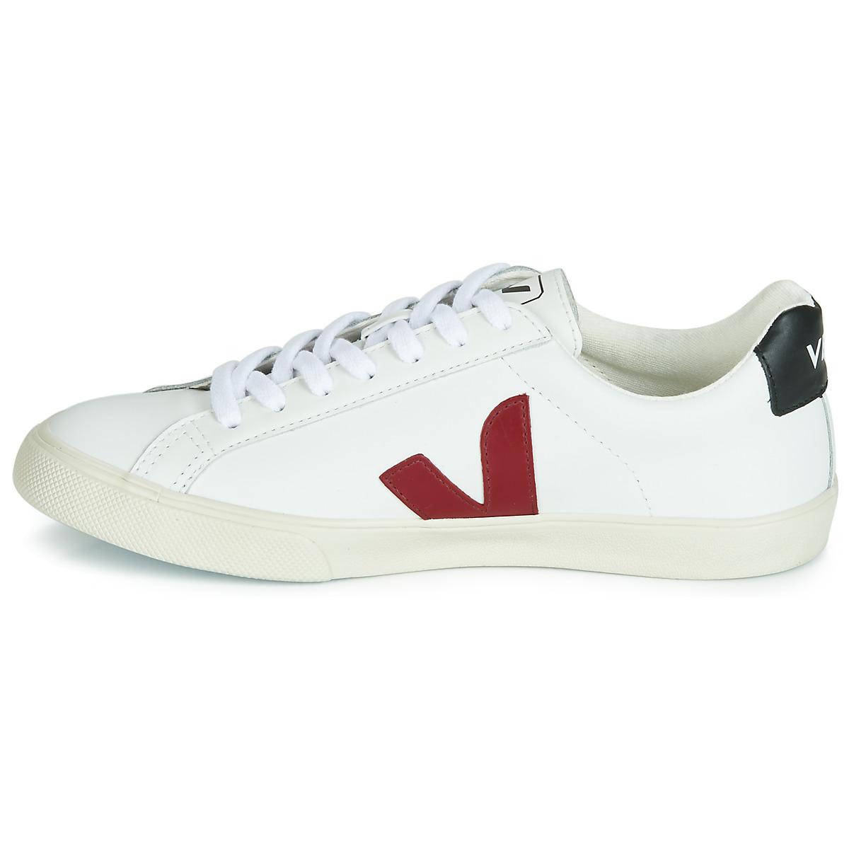 esplar veja trainers