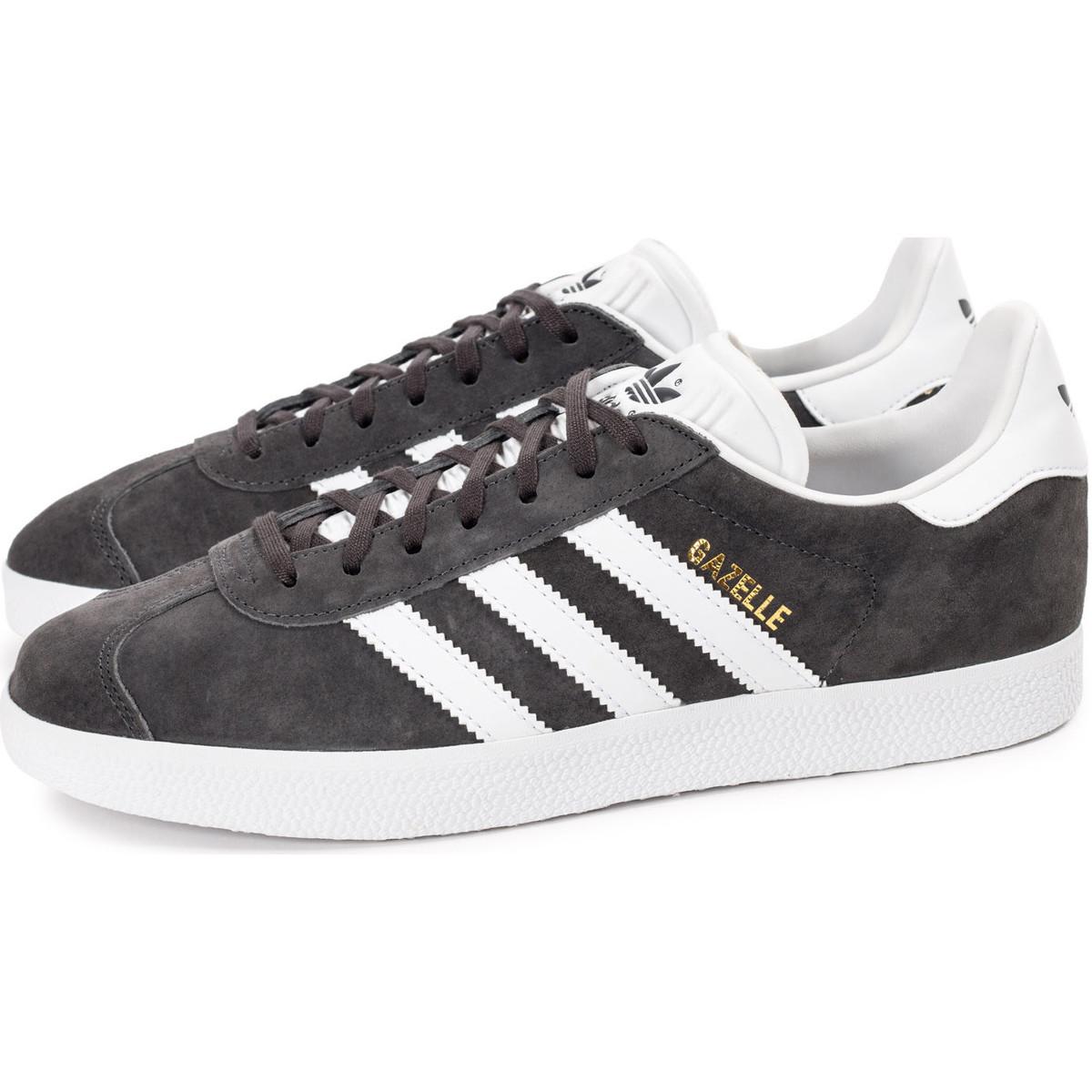 gazelle anthracite