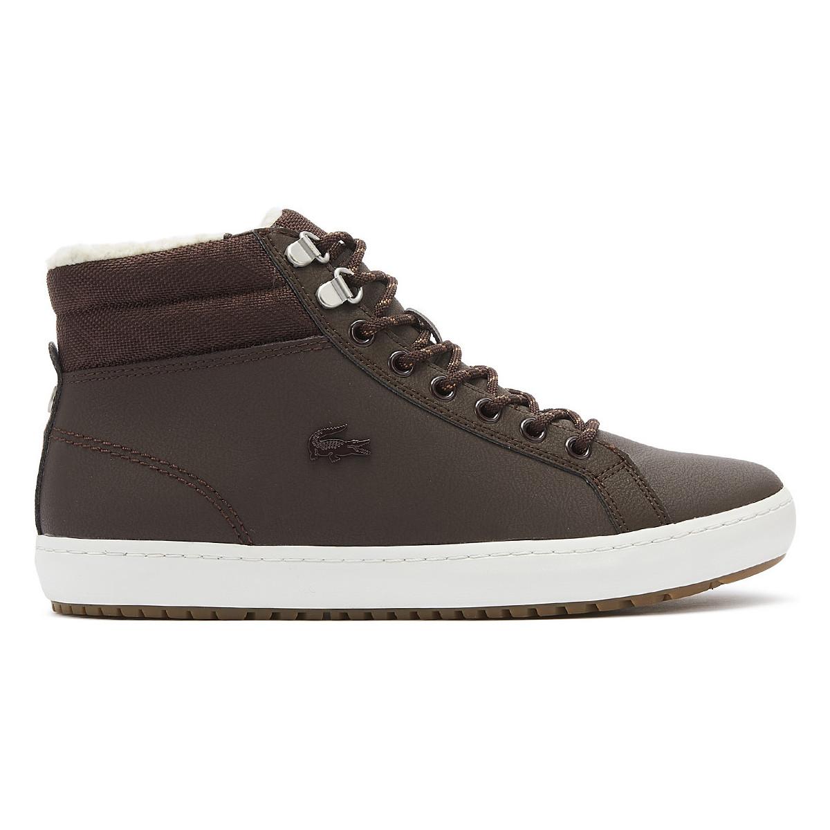 lacoste straightset brown