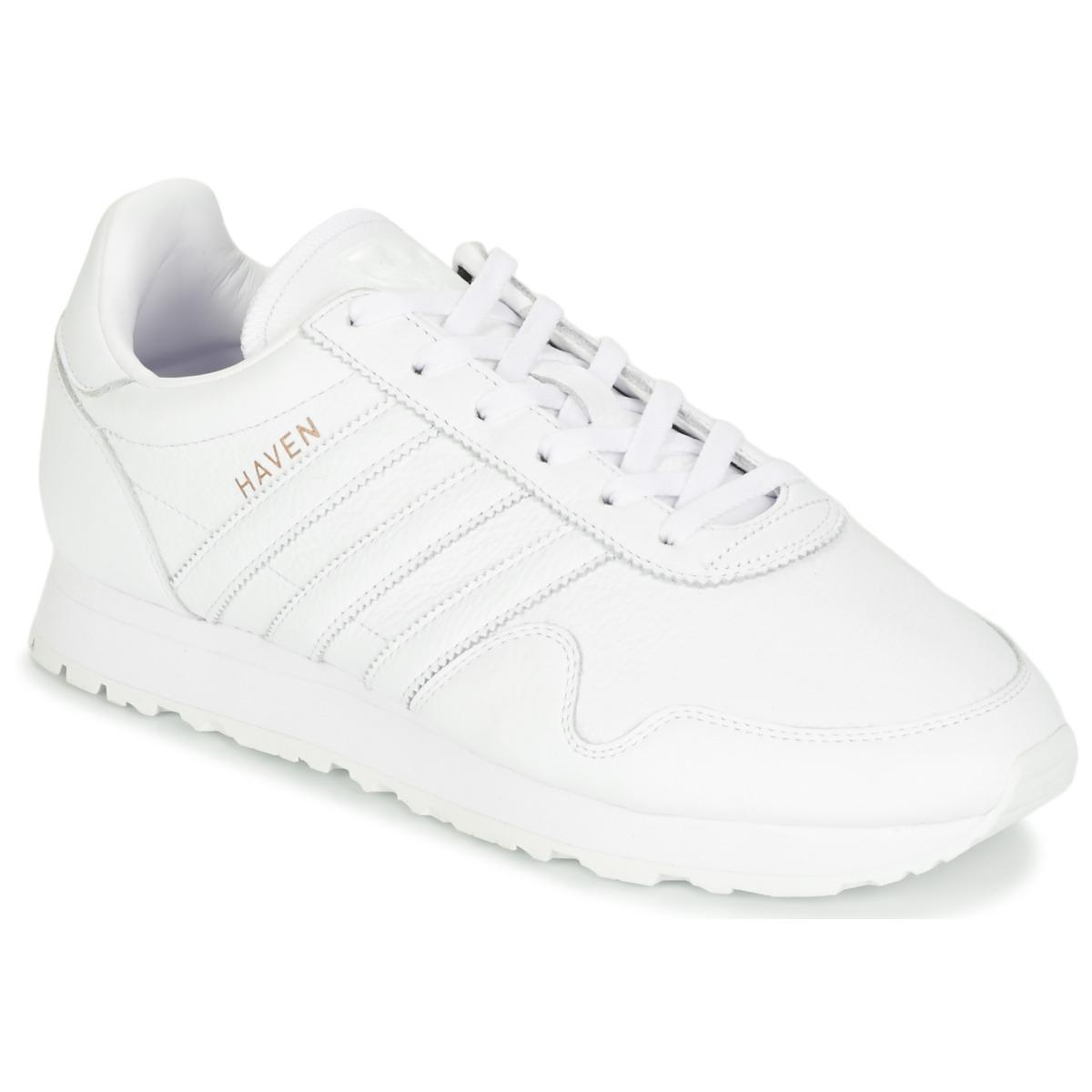 sneaker adidas haven