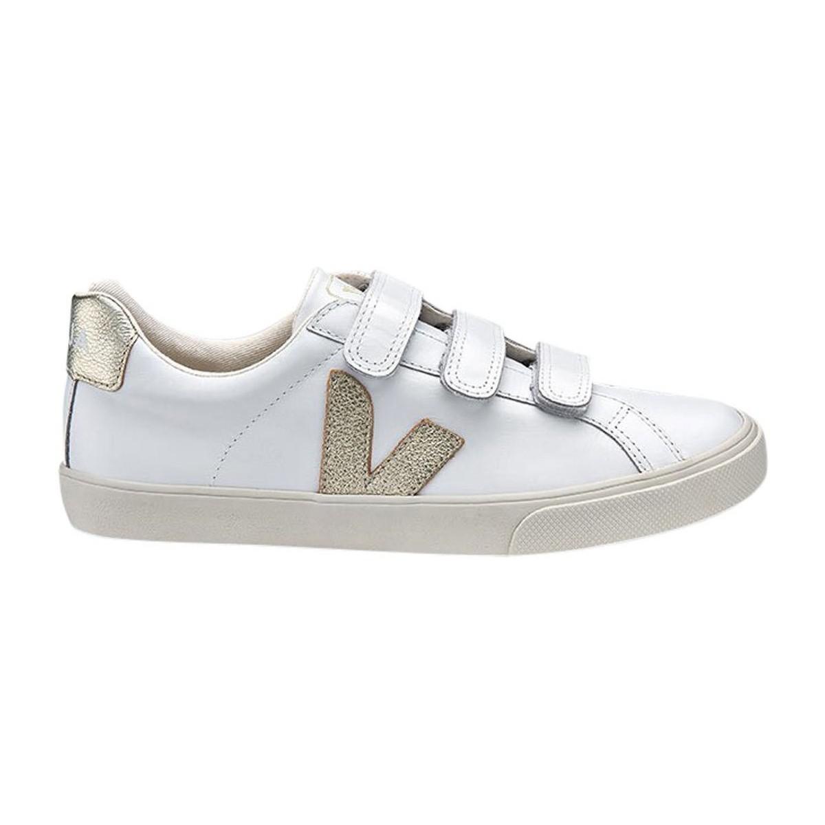 veja gold velcro